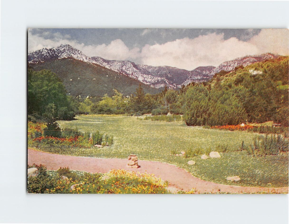Postcard Santa Barbara Botanic Garden Santa Barbara California USA