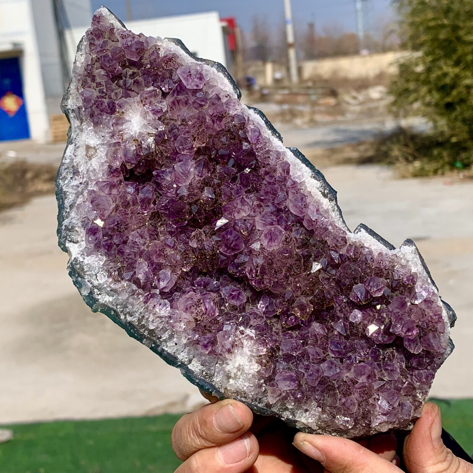 1.45LB Natural Amethyst geode quartz cluster crystal specimen Healing