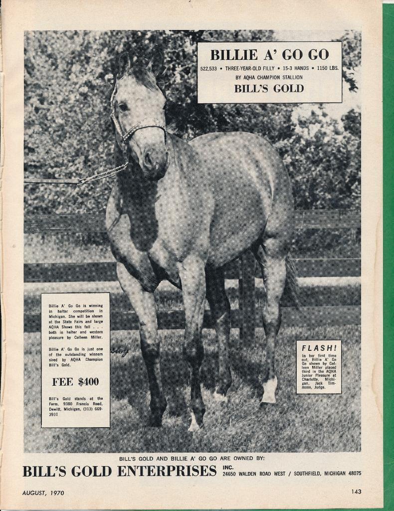 Magazine Ad - 1970 - Bill\'s Gold Horse Farm - Southfield, MI - BILLIE A\' GO GO
