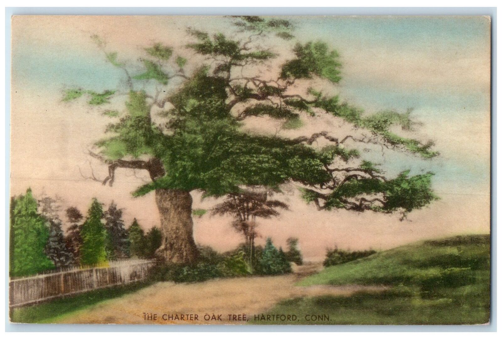 Hartford Connecticut CT Postcard The Charter Oak Tree 1857 c1920s Vintage