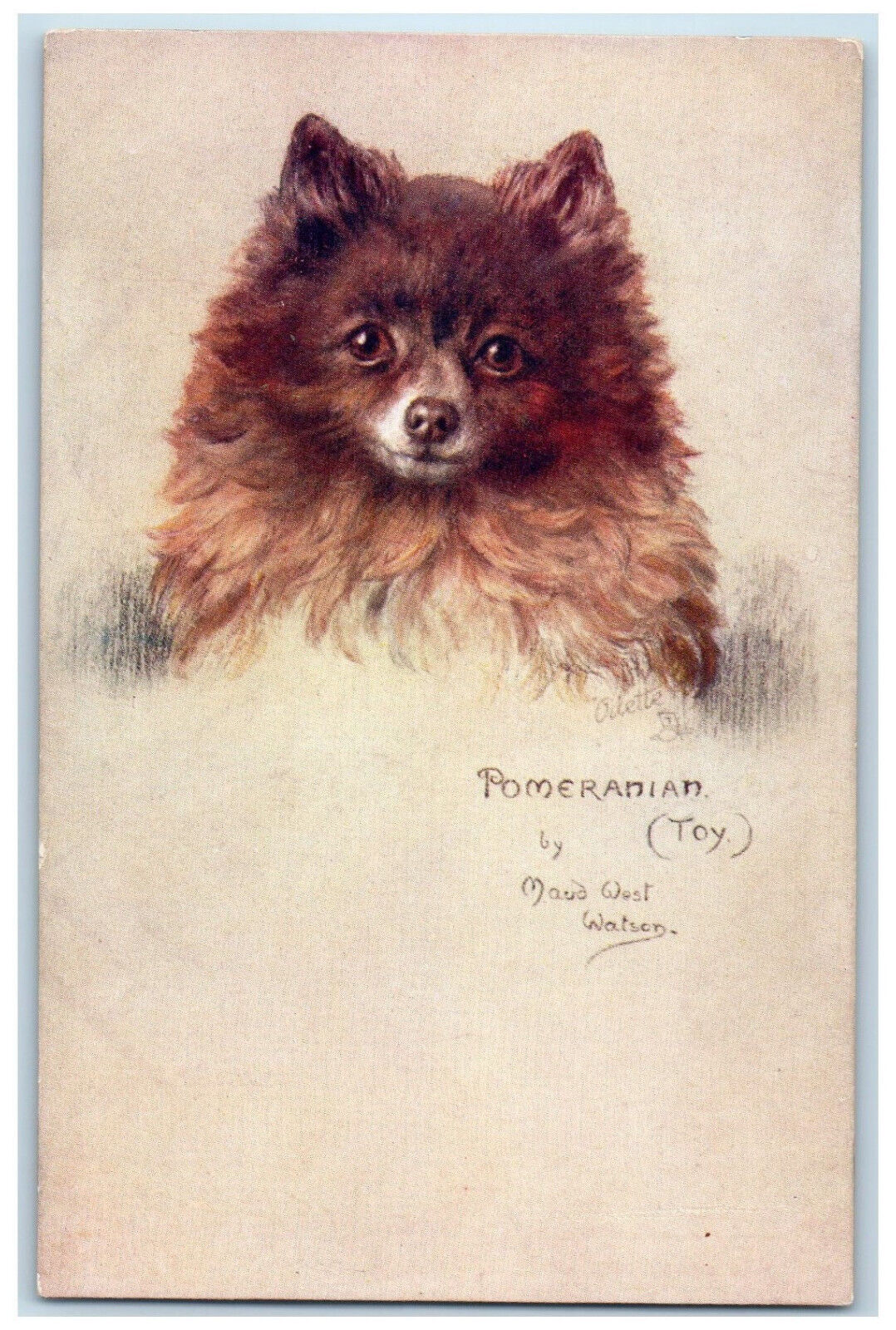 Postcard Toy Pomeranian Maud West Watson c1910 Unposted Oilette Tuck Dogs