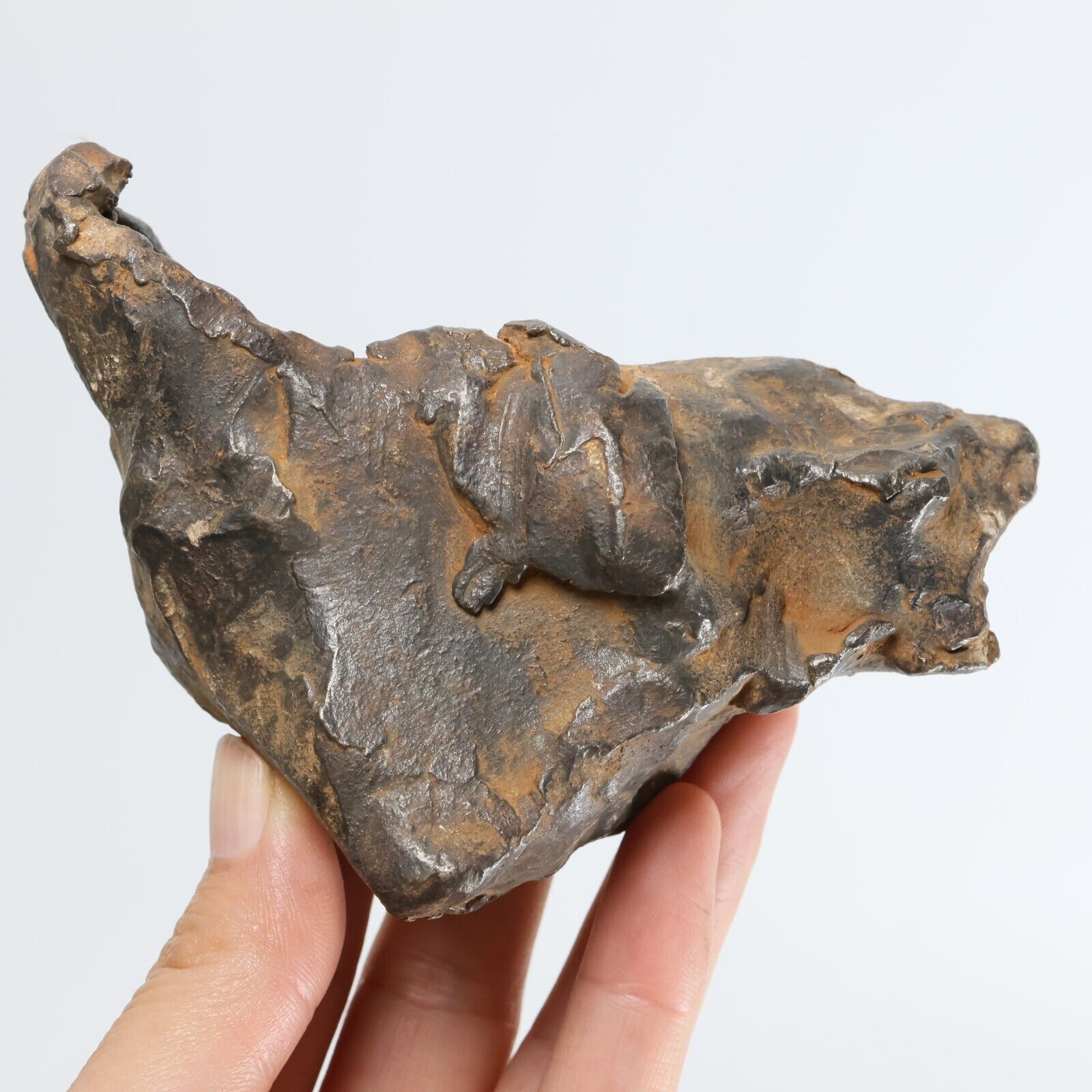 711g Gebel Kamil iron meteorite, Egypt, Space Gift, meteorite, specimen R1724