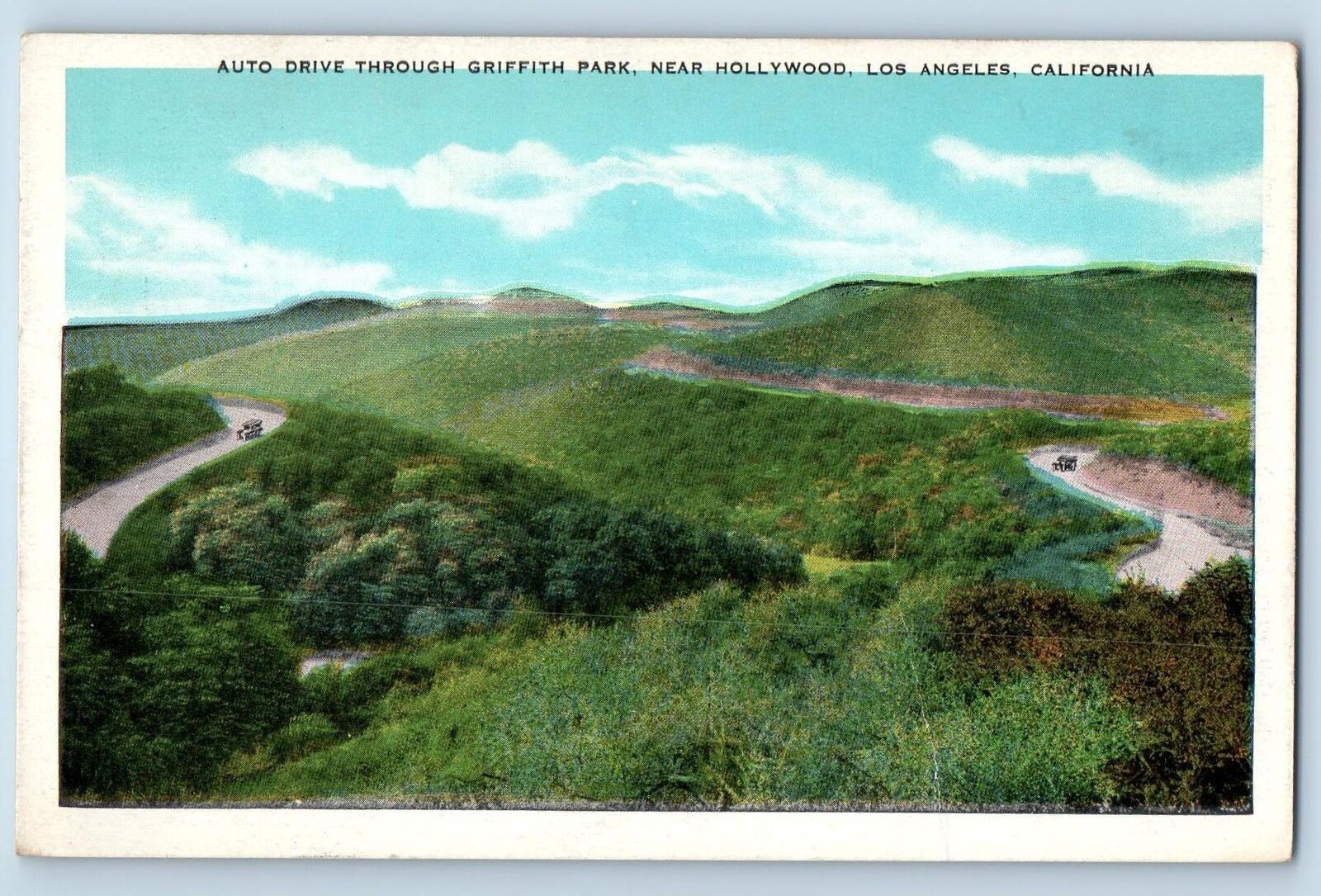 c1920 Auto Drive Through Griffith Park Hollywood Los Angeles California Postcard