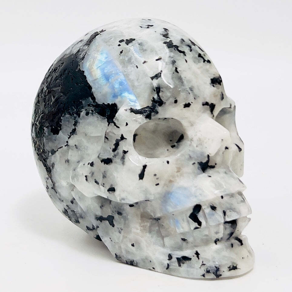 Rainbow Moonstone with Black Tourmaline Skull Healing Crystal Carving 809g