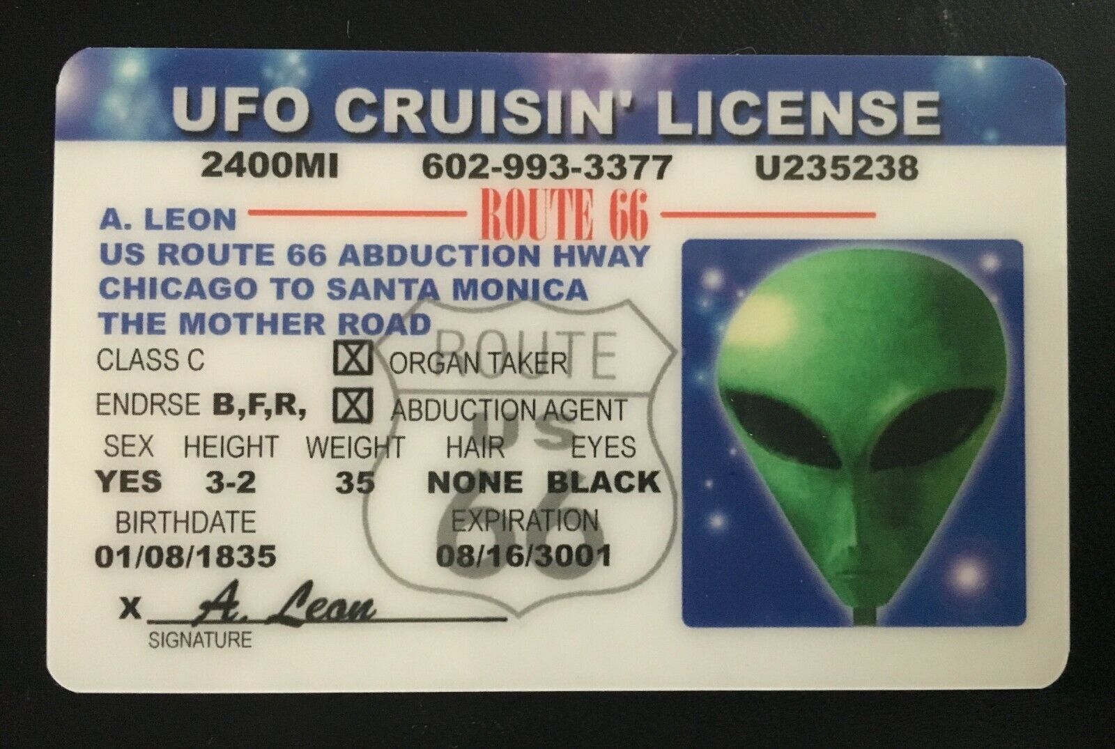 UFO Cruisin License MAGNET Alien Route 66 Novelty ID Cruising Mother Road