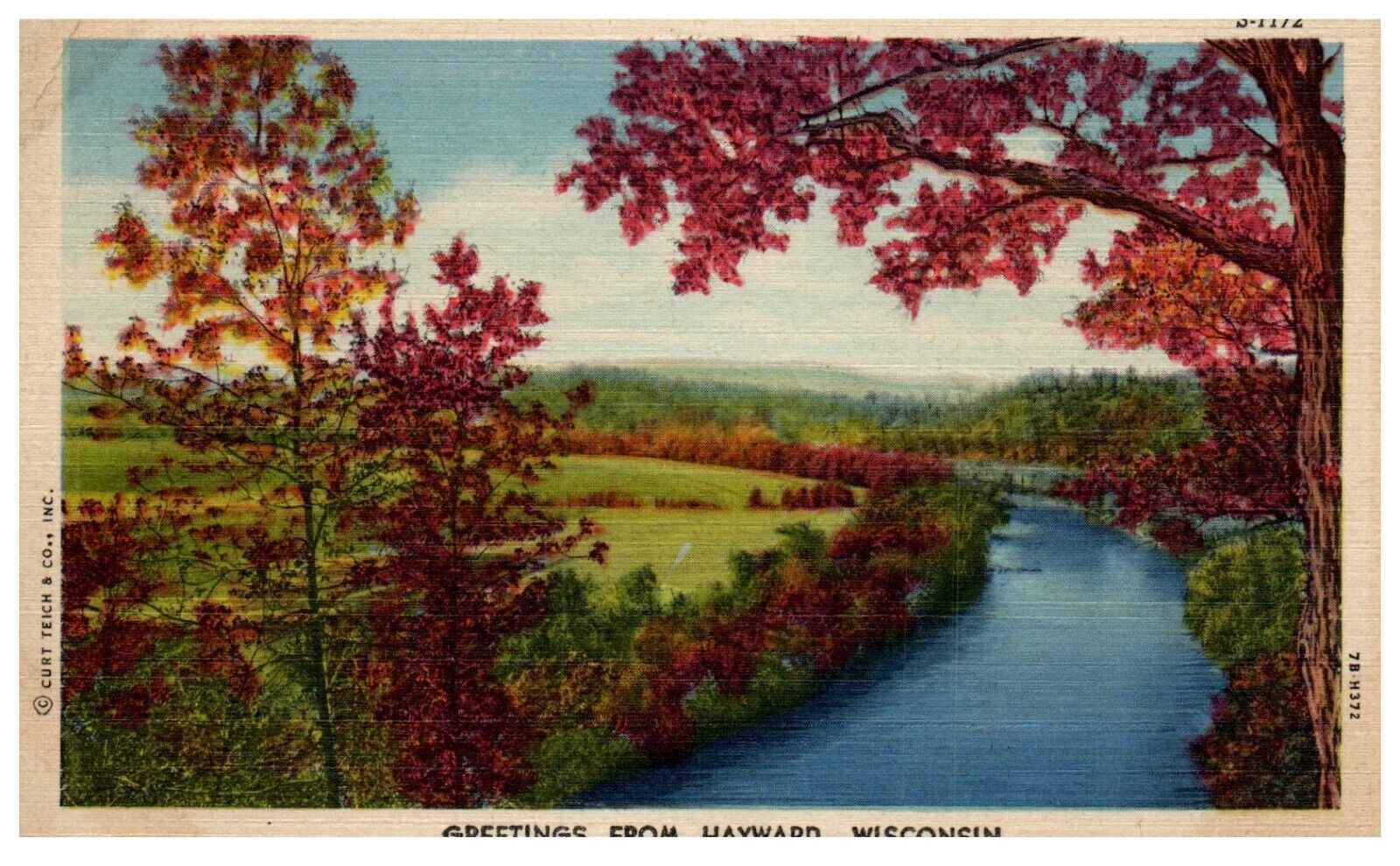 Hayward Wisconsin Autumn Scene River Curt Teich Linen Postcard 1950