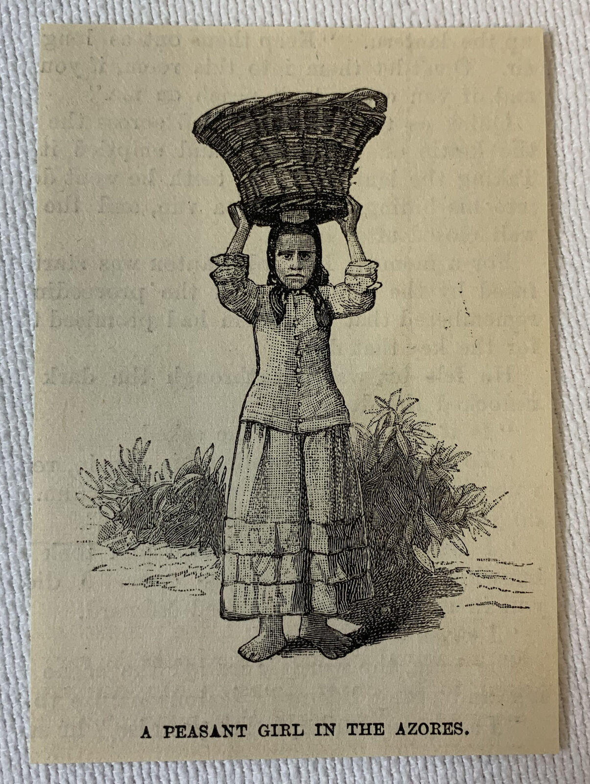 small 1886 magazine engraving ~ PEASANT GIRL IN THE AZORES
