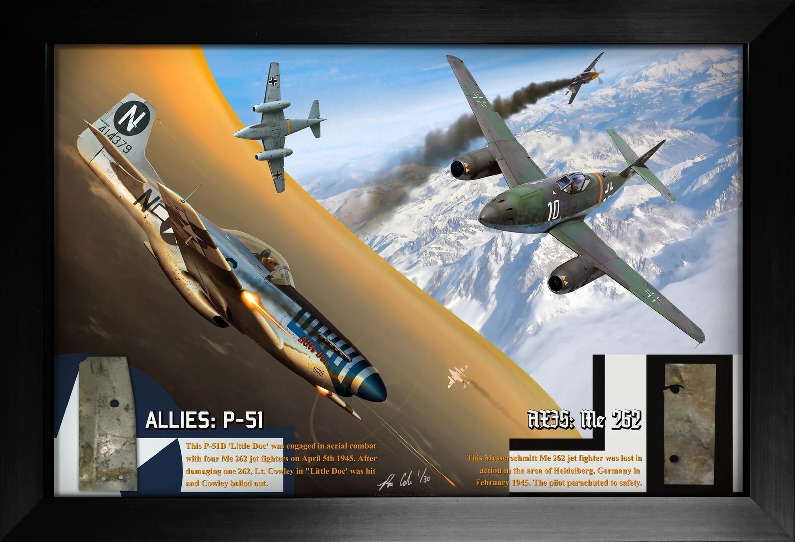 ALLIED & AXIS: P-51 Mustang & Me 262 Combat Losses Display