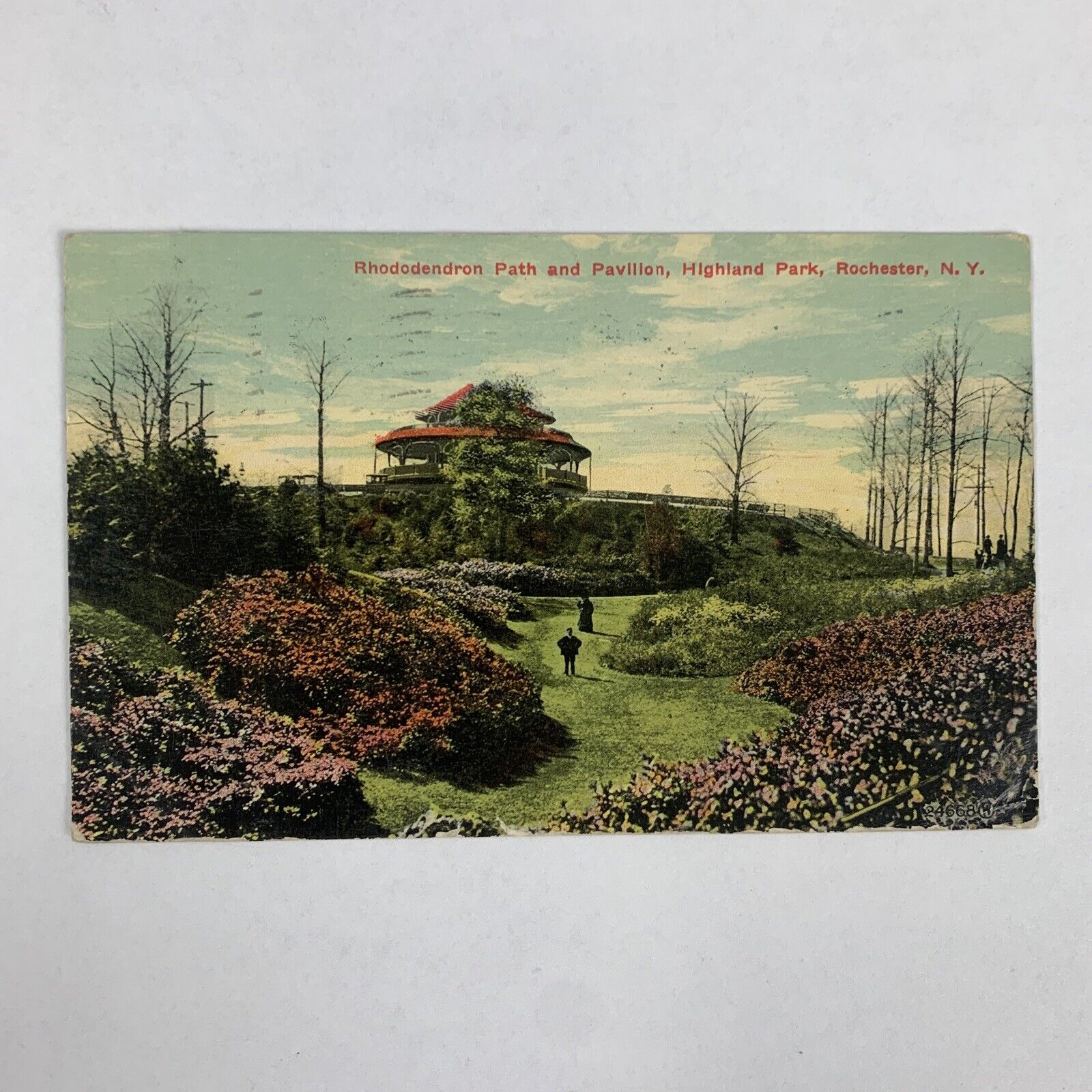 Postcard New York Rochester NY Highland Park Pavilion Rhododendron 1911 Posted