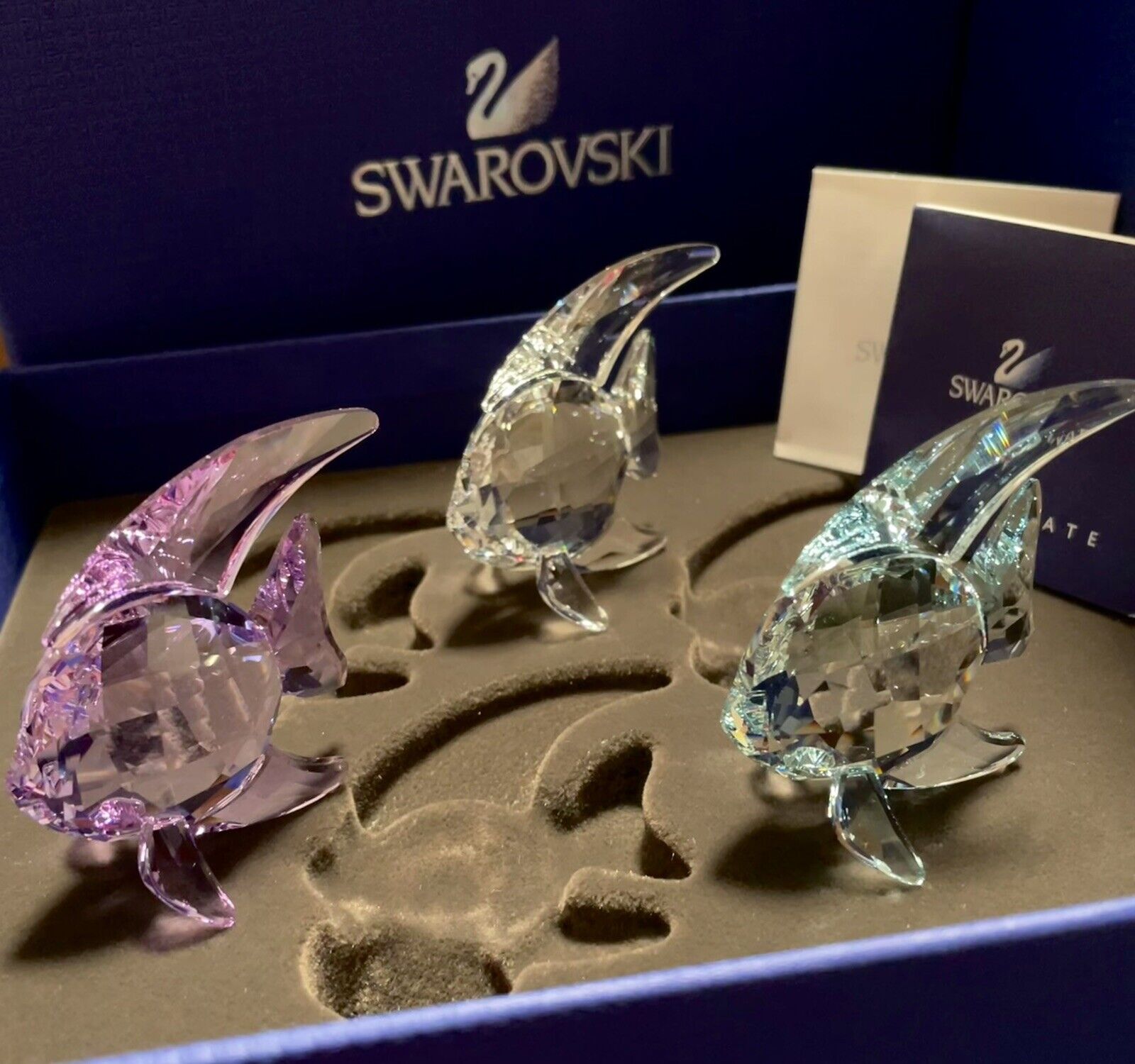 signed Swarovski ~ANGEL FISH~ Set of 3 Figurines Objects~Stunning ~NEW~ in box