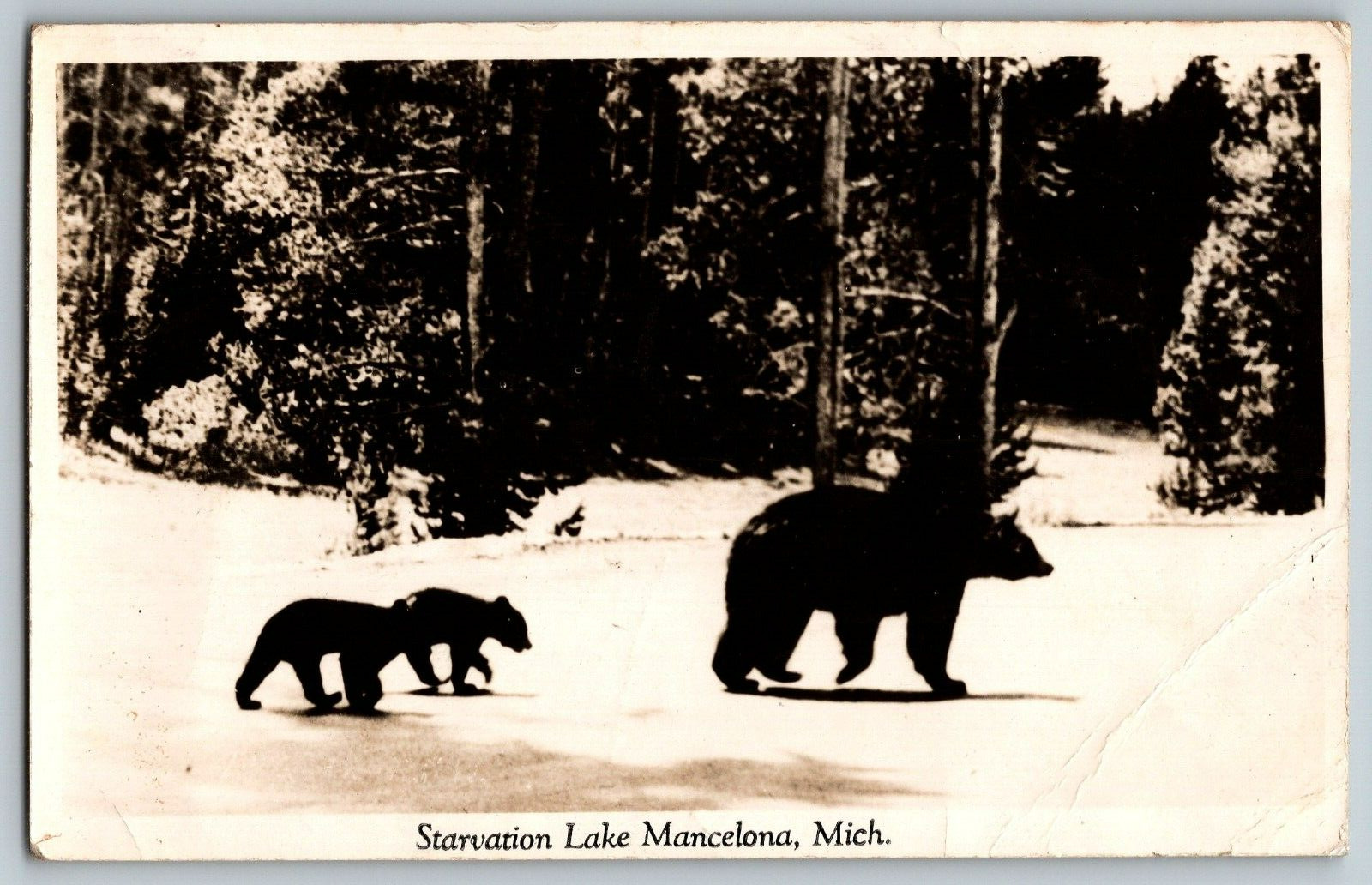 RPPC Vintage Postcard - Michigan - Starvation Lake Mancelona - Real Photo