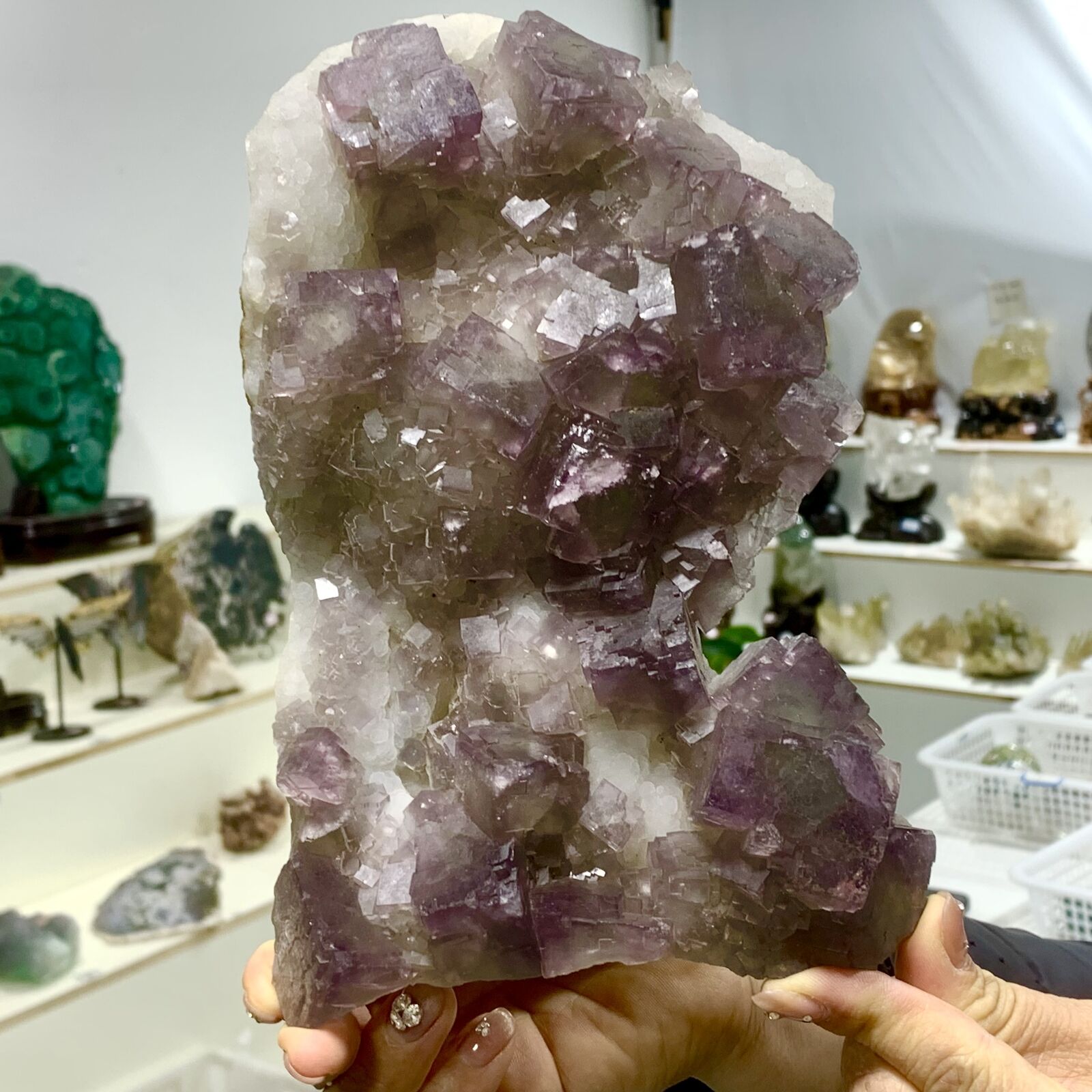 2.75LB Natural purple cubic fluorite mineral crystal sample/China