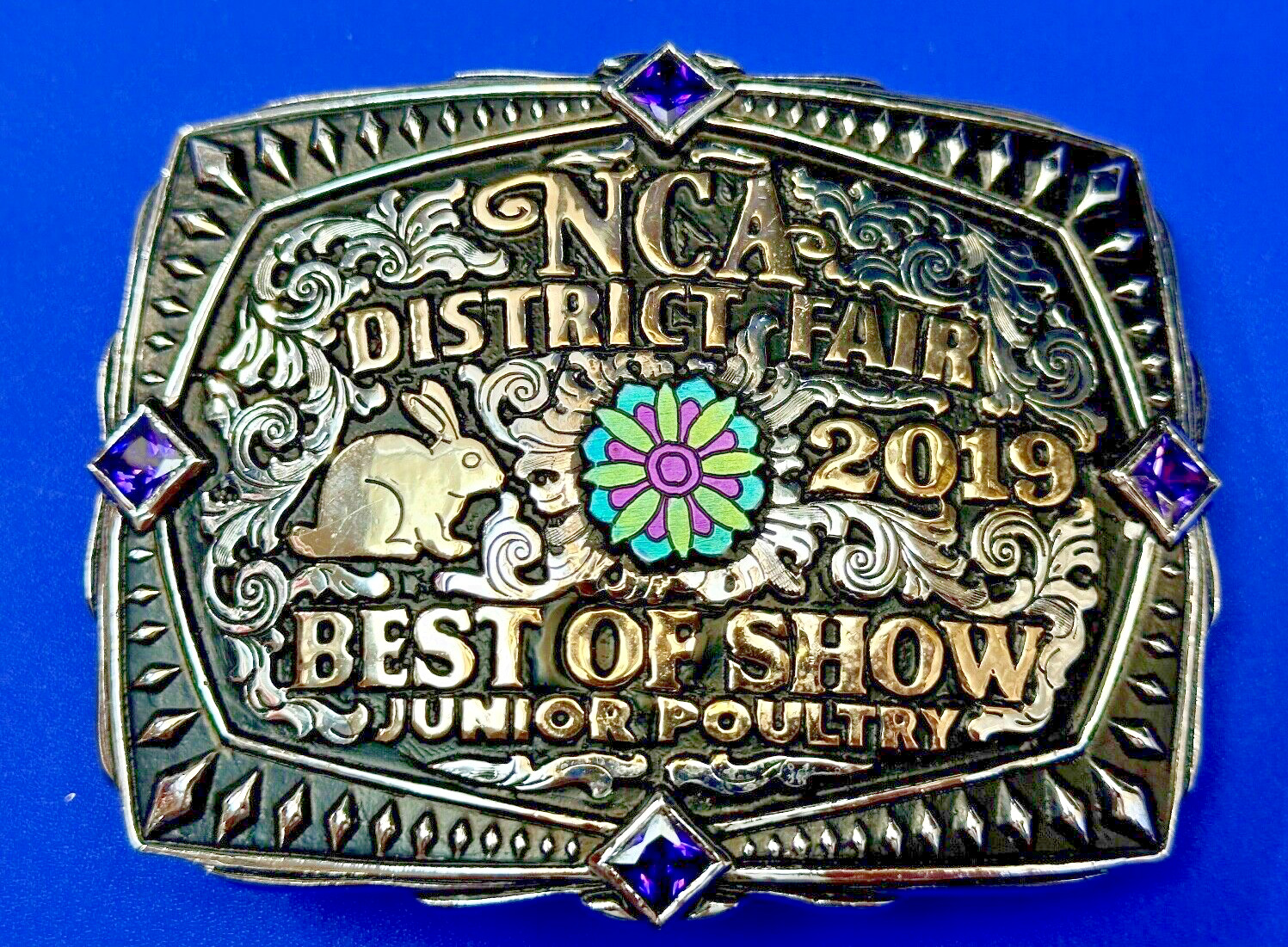 Best of Show JR poultry Trophy NCA District Fair 2019 Arkansas belt buckle By KS