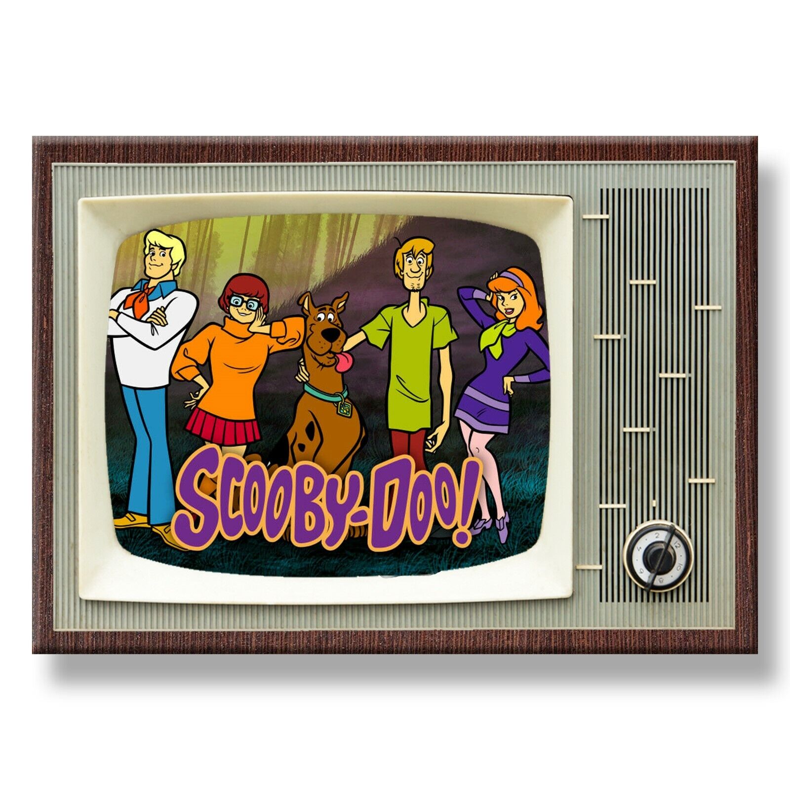 SCOOBY DOO Classic TV 3.5 inches x 2.5 inches Steel Cased FRIDGE MAGNET