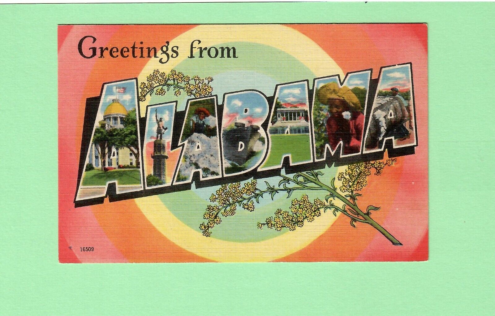Alabama Large Letter Postcard -- Greetings - Goldenrod