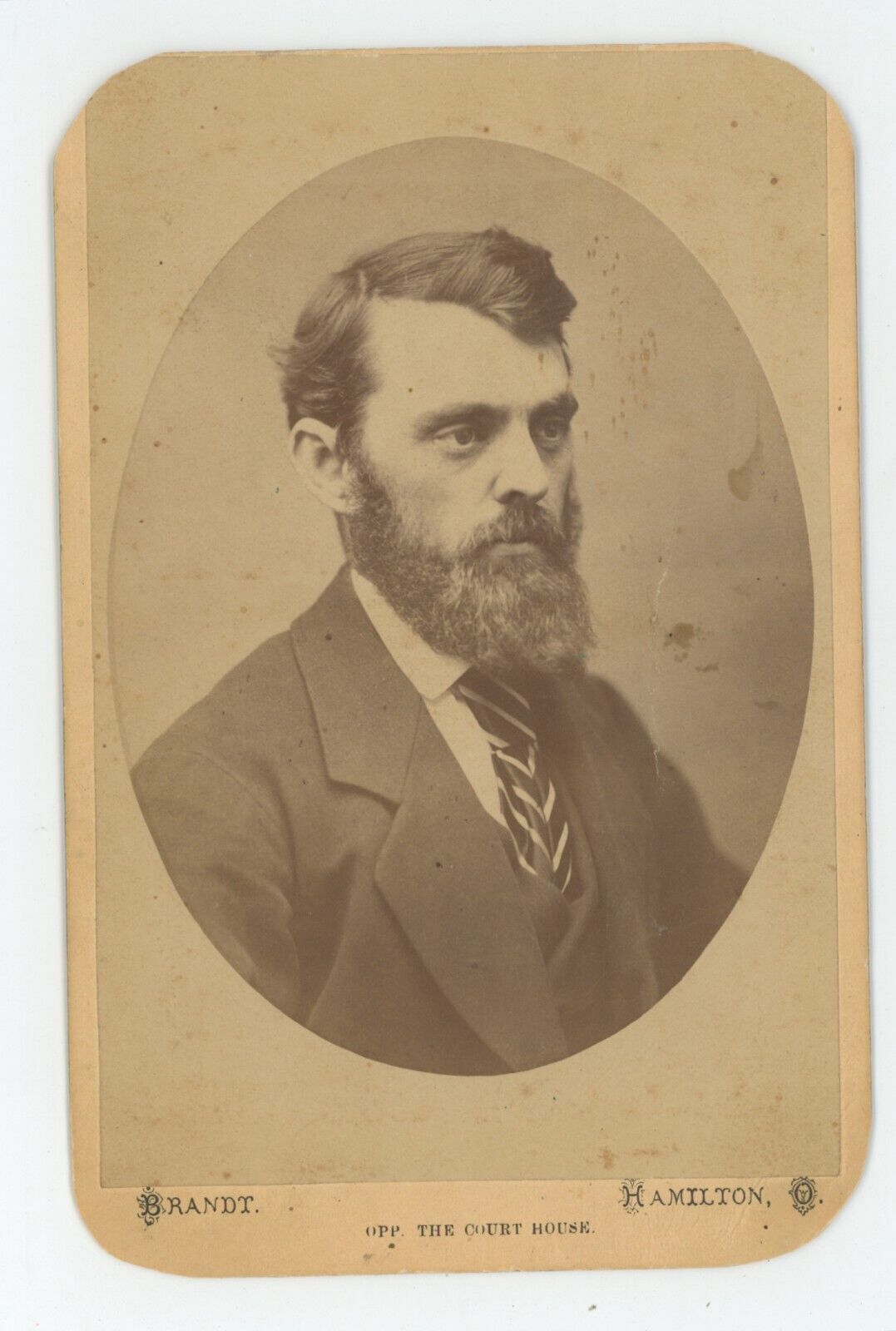 Antique Circa 1880s Cabinet Card Handsome Man Suit Long Beard Brandt Hamilton
