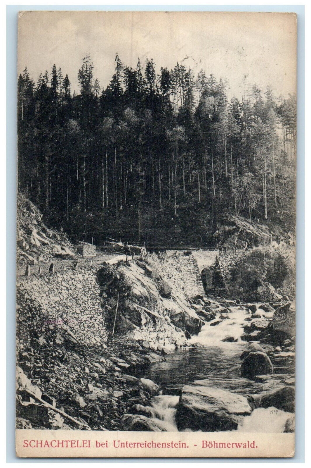 c1910 Nest egg near Unterreichstein Bohemian Forest Germany Antique Postcard