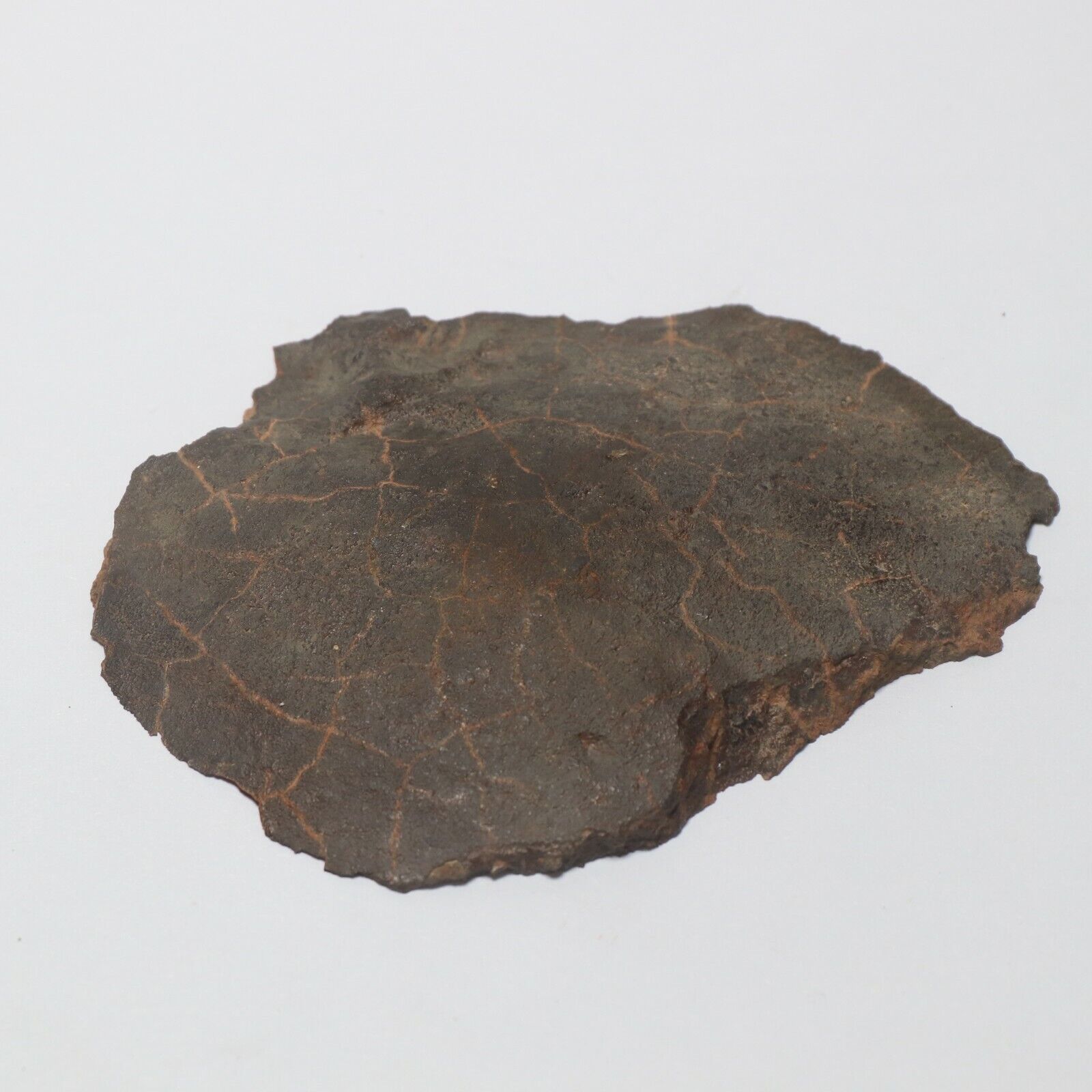 106 gram Unclassified NWA Meteorite Slice  A5378