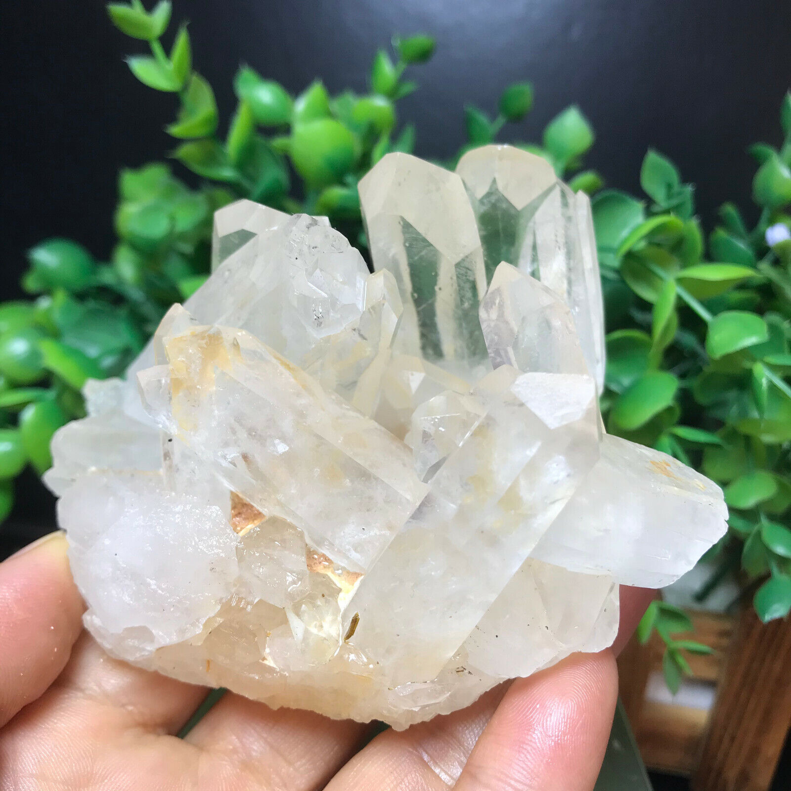 349g  Natural Clear White Quartz Crystal Cluster Rough Healing Specimen 52