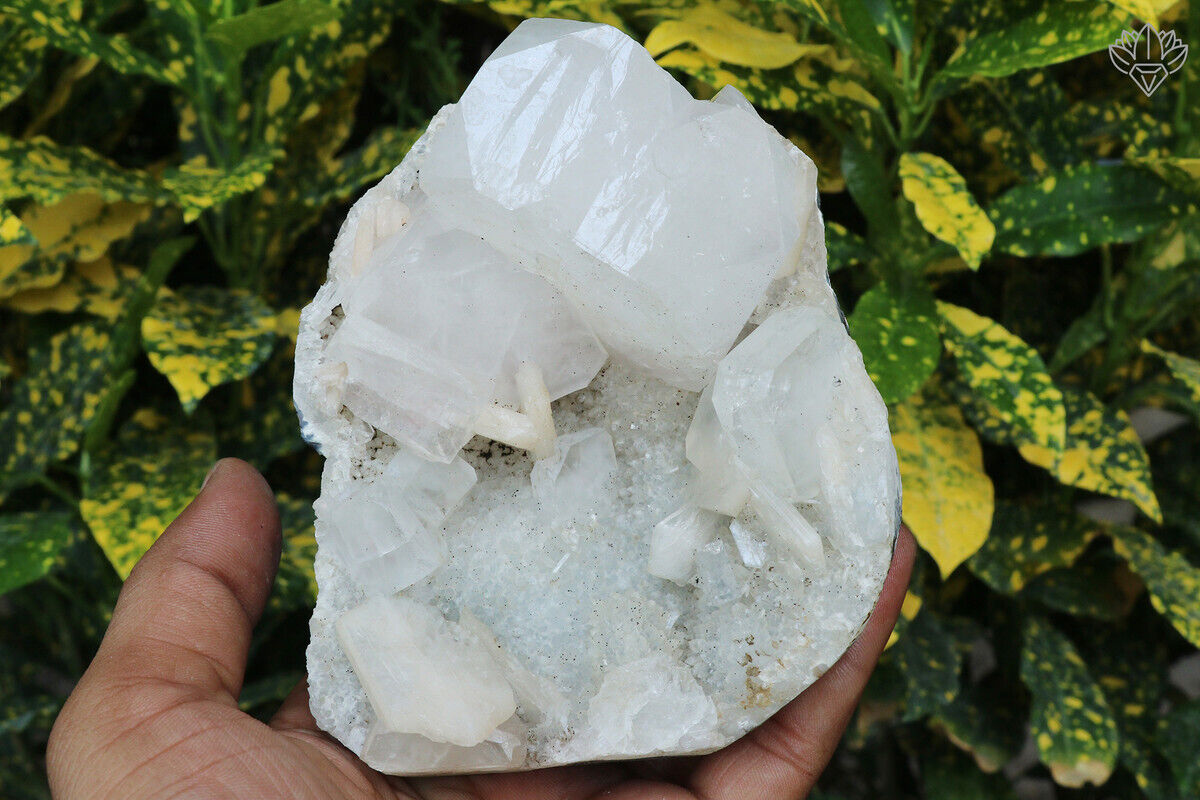 860 gm Apophyllite Minerals Specimen Indian Natural Cluster Home Decor Stone