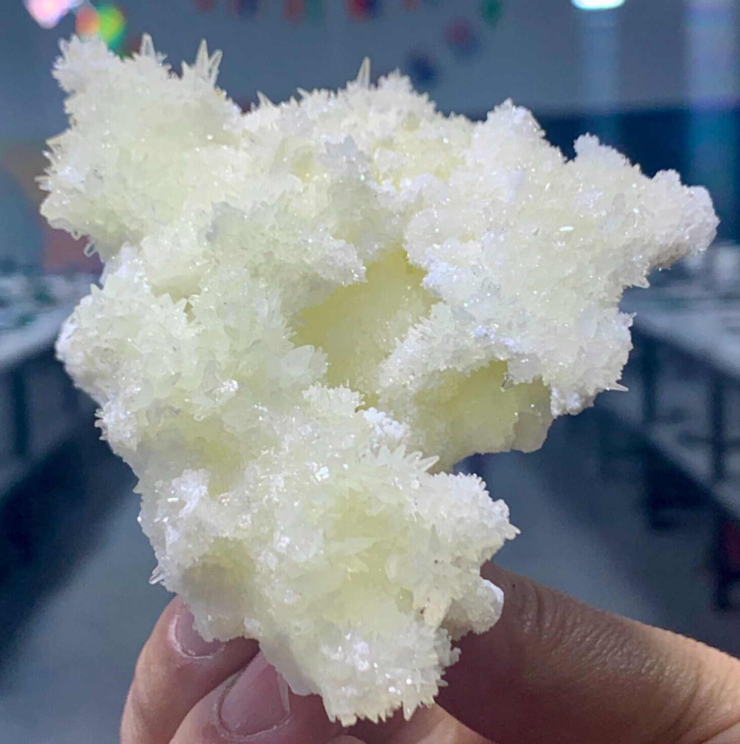 173G Museum Quality White Flowery Hydrozincite Crystal Cluster Mineral Specimen