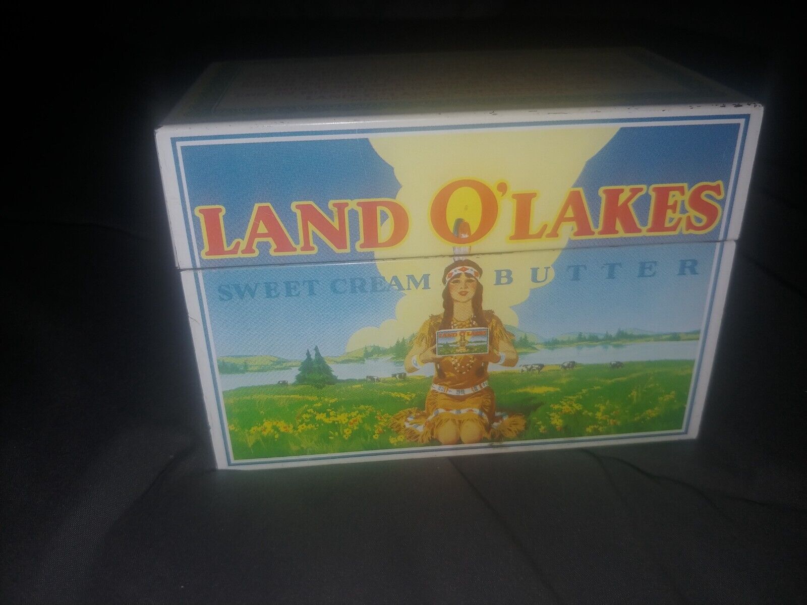 Land O\'Lakes Sweet Cream Butter Metal Tin Recipe Box Native American Vintage MN