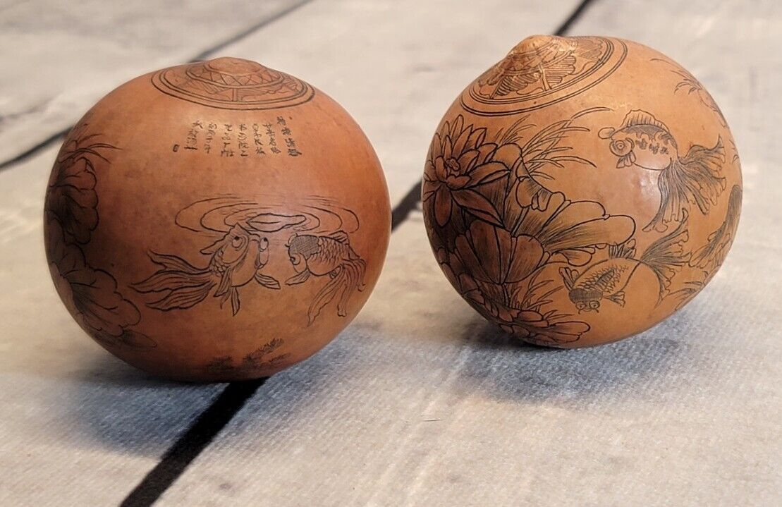 Old Antique  Chinese Etched Scrimshaw Gourds / Seed Pod Koi Fish Beautiful