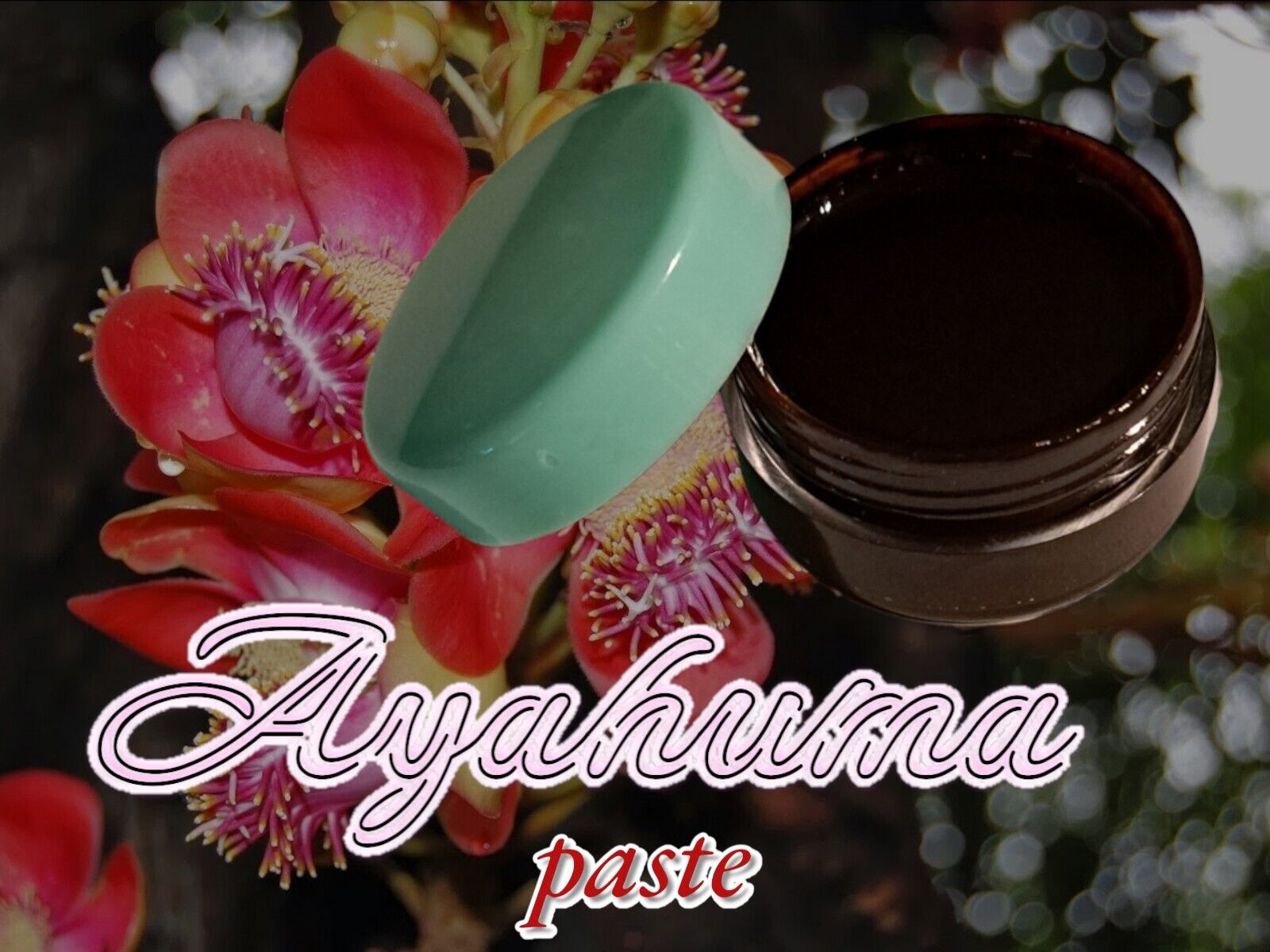 Ayahuma PasteAyahuma paste 40x ~ Couroupita guianensis 50 grams