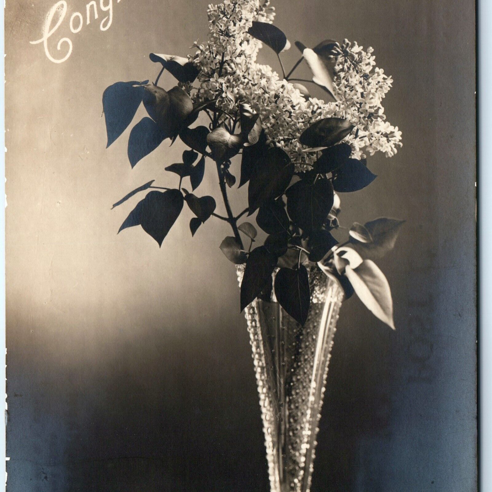 1906 UDB Congratulations Rotograph Early RPPC Real Photo Postcard Flowers NY A69