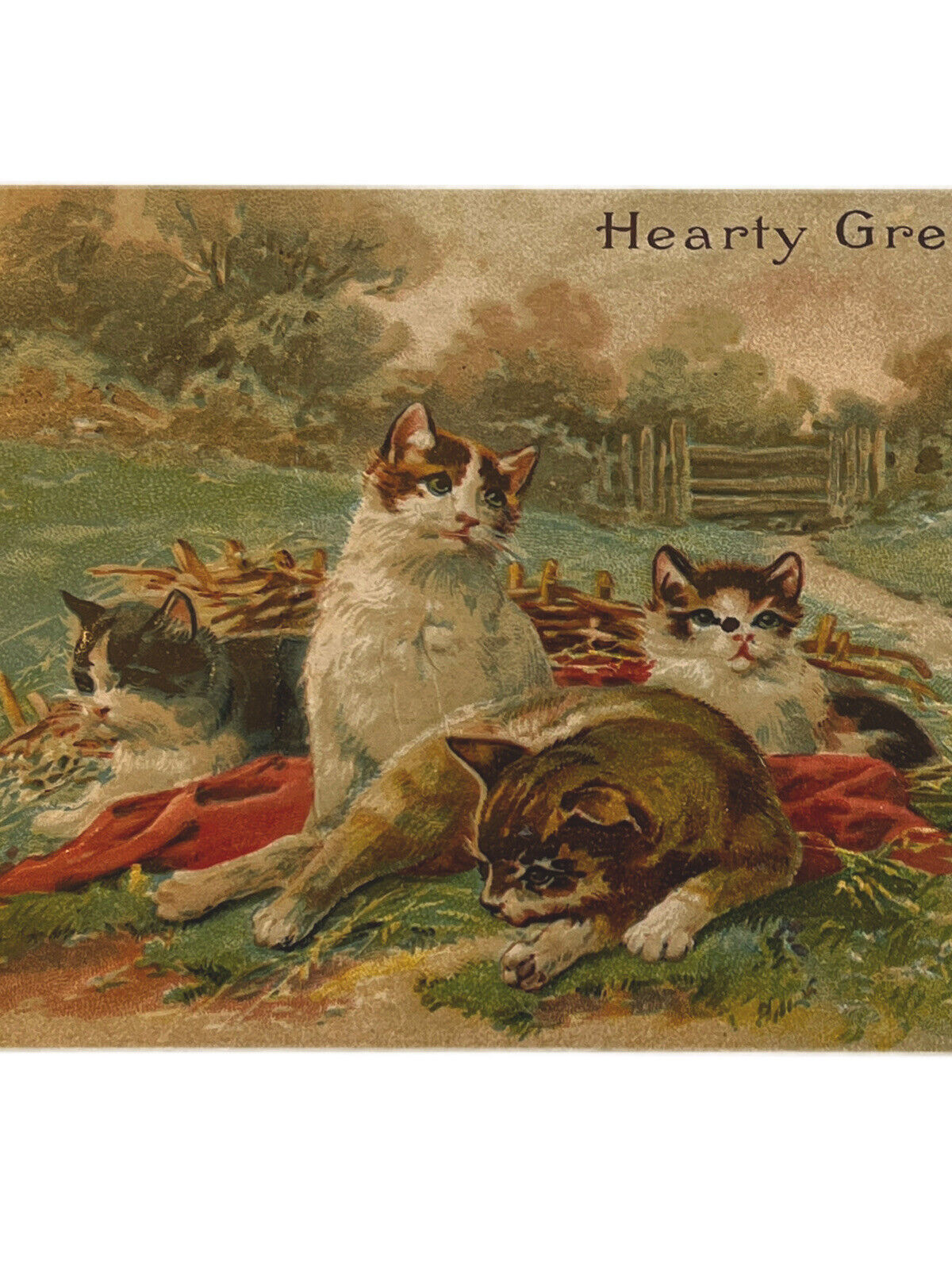 Antique Postcard Clowder Of Cats 1910 Ephemera Countryside Heart Wishes Embossed