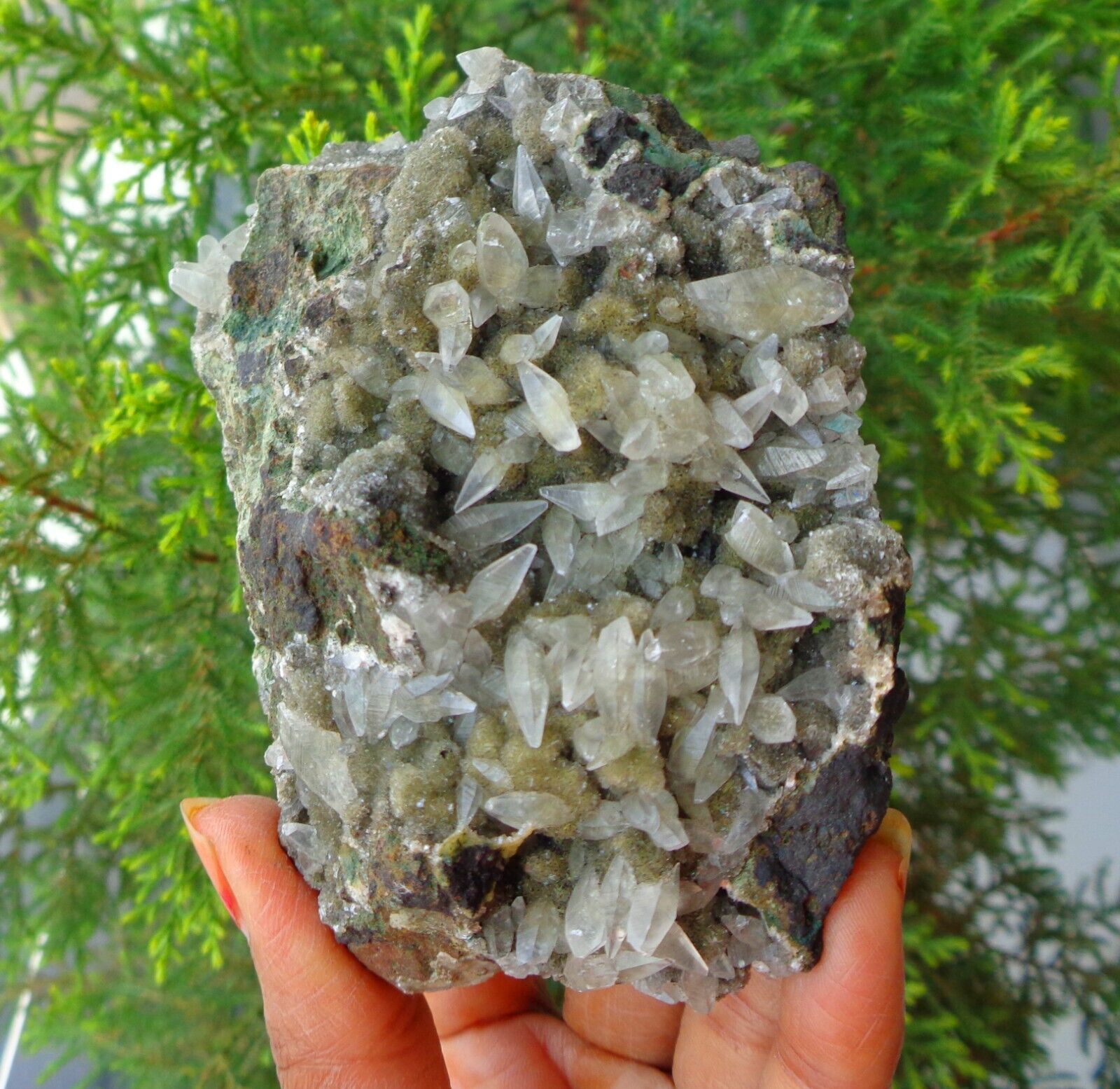 Pointed Calcite Crystals On Matrix Minerals Specimen #F57