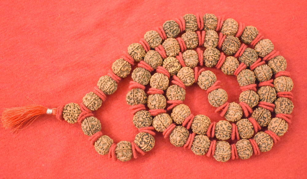 6 Mukhi Rudraksha Kantha / Mars Mala - 55 Bead - Nepal