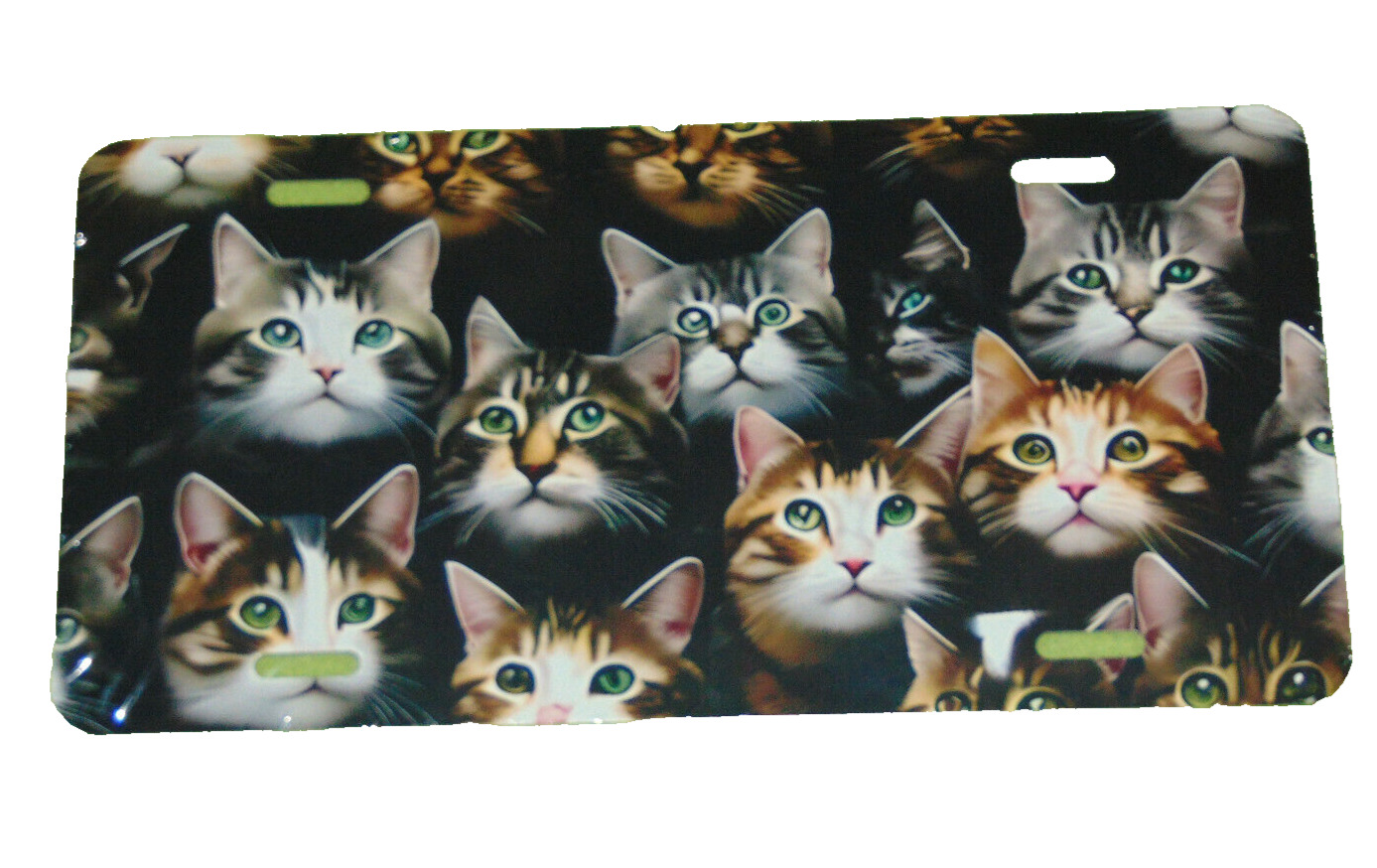 Clowder Of Cats License Plate 6 X 12 Inches Aluminum New