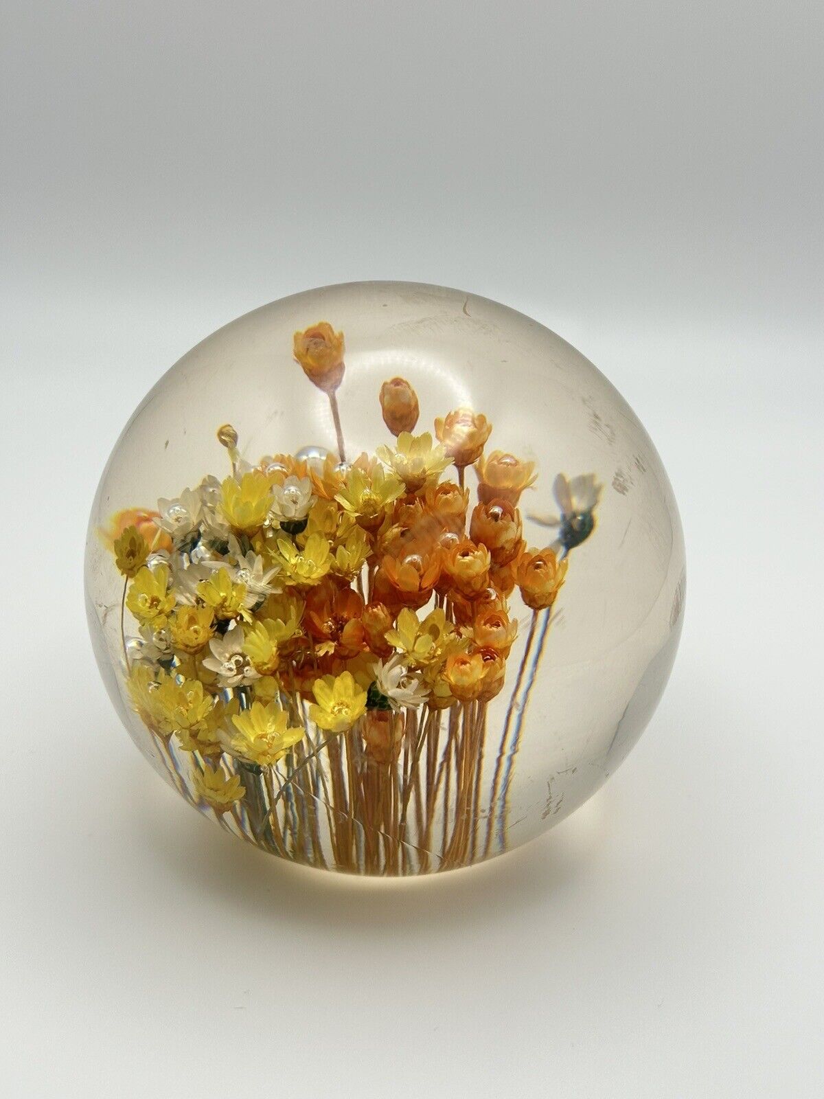 VTg 1960s MCM Lucite Acrylic Art Orb Ball Dry Flowers Paperweight