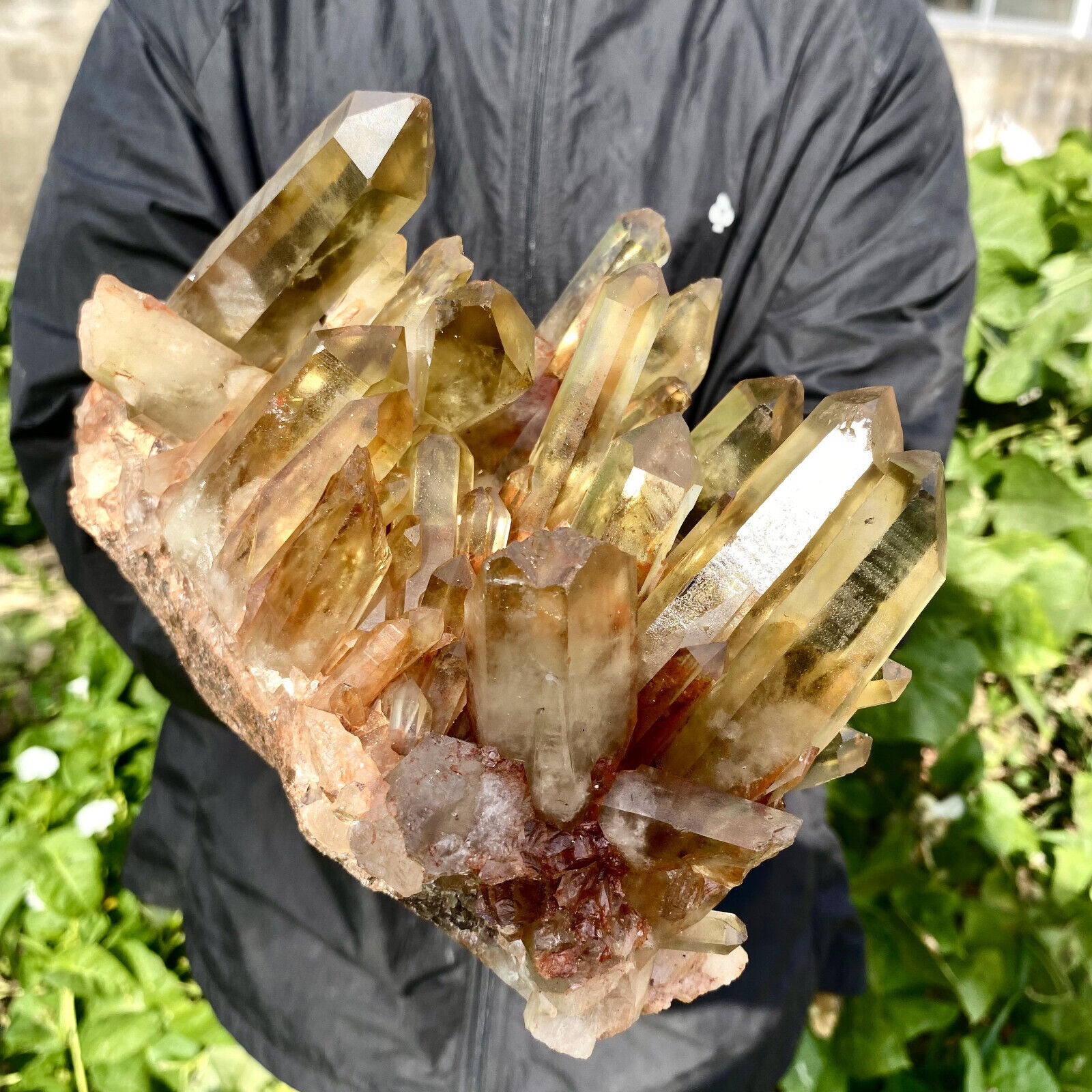 7.3LB Large Natural citrine Crystal quartz Cluster Mineral Specimen Healing