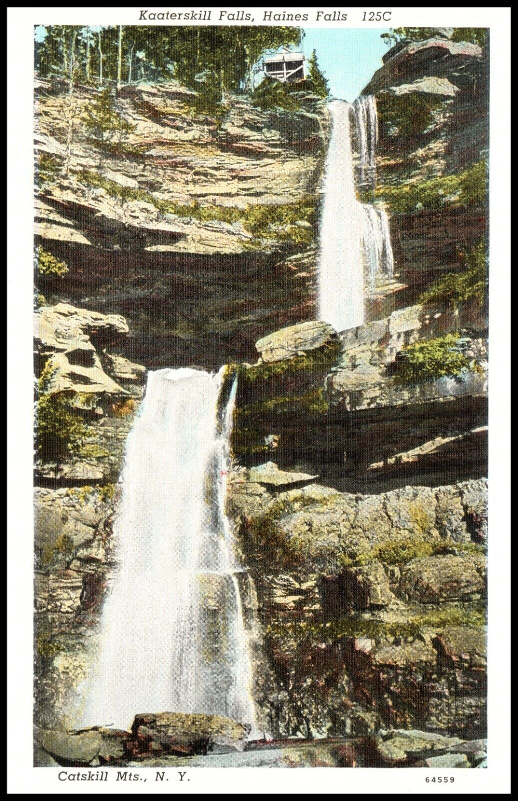 C1920s Catskill Mountains NY Kaaterskill Falls Haines New York Postcard 546