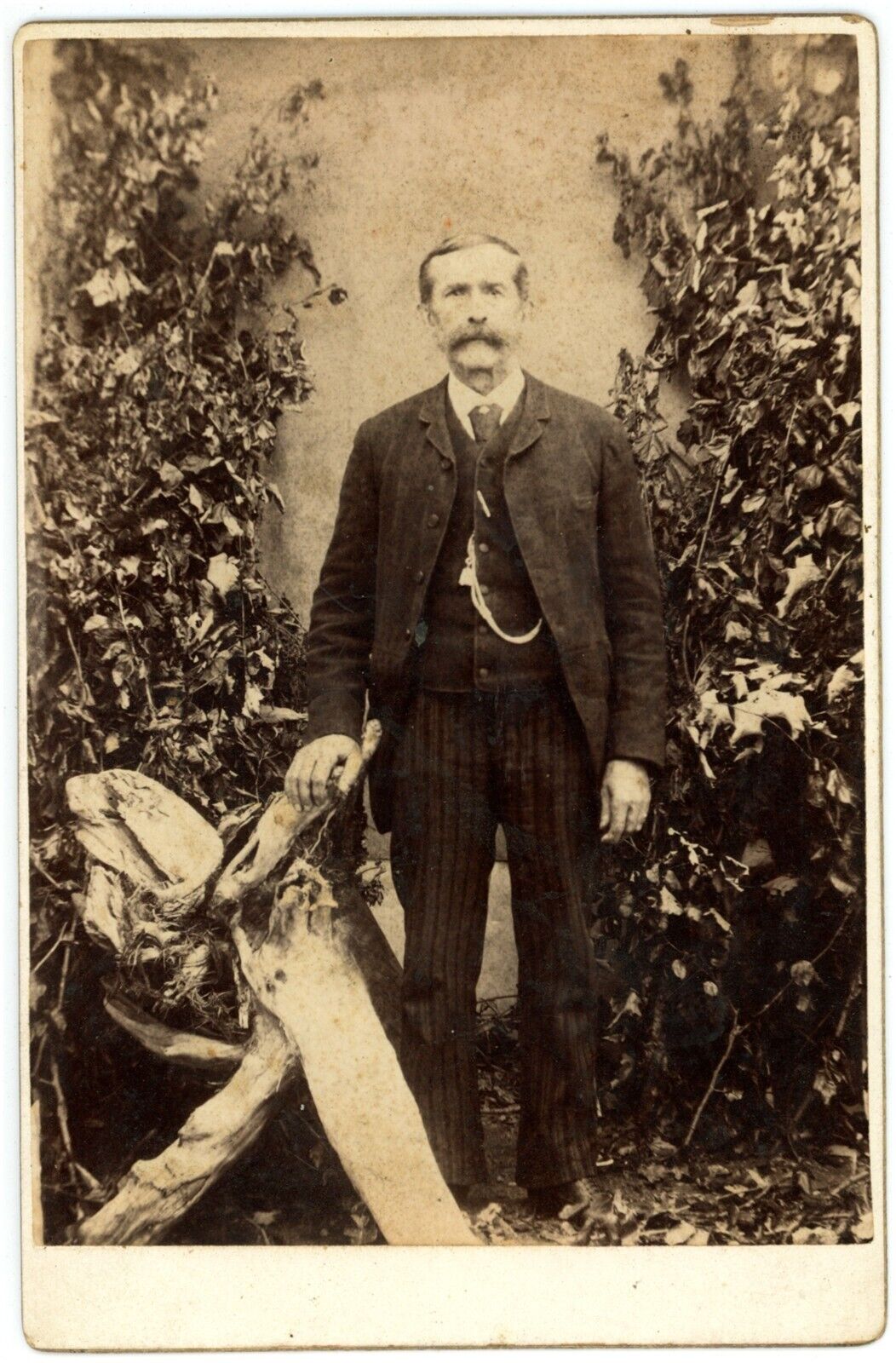 CIRCA 1890\'S CABINET CARD Older Man Mustache Suit Driftwood Jones Echo Vale, Que