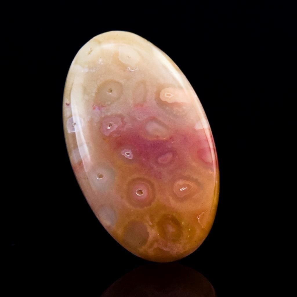 Natural Agatized Fossil Coral Gem Cabochon with Flower Pattern Indonesia 6.47 g