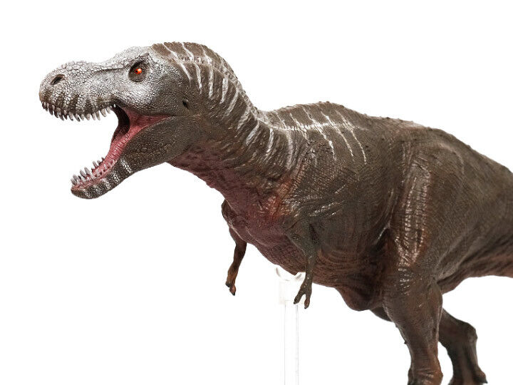 Tyrannosaurus Rex T-Rex Rebor Grab N Go 05 SA Type D Discontinued & Sold Out 