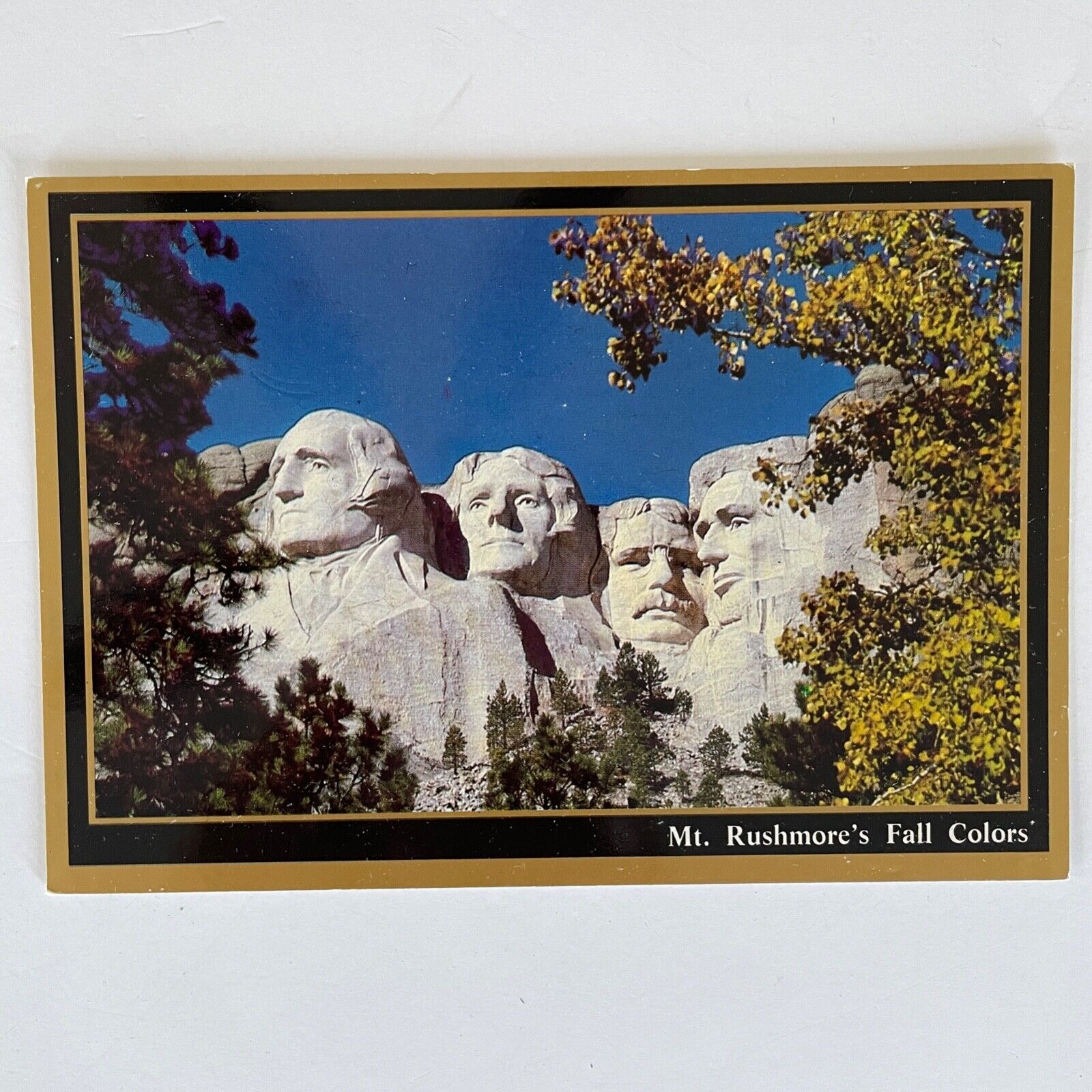 Mount Rushmore Postcard Shrine OF Democracy Fall Colors Foliage South Dakota VTG