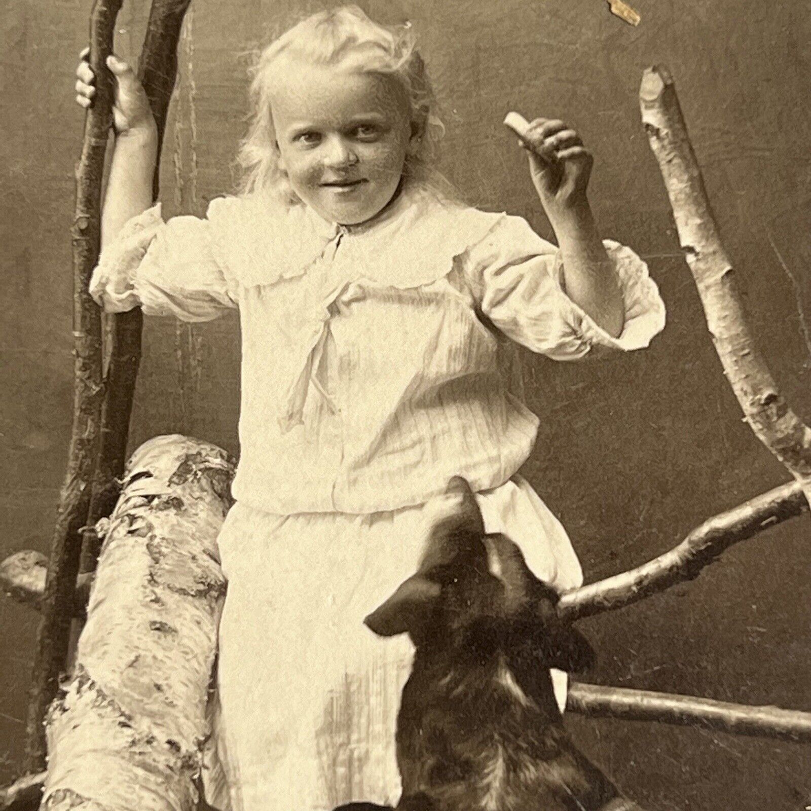 Antique CDV Photograph Adorable Little Girl Giving Beloved Dog Treat “Sit” Trick