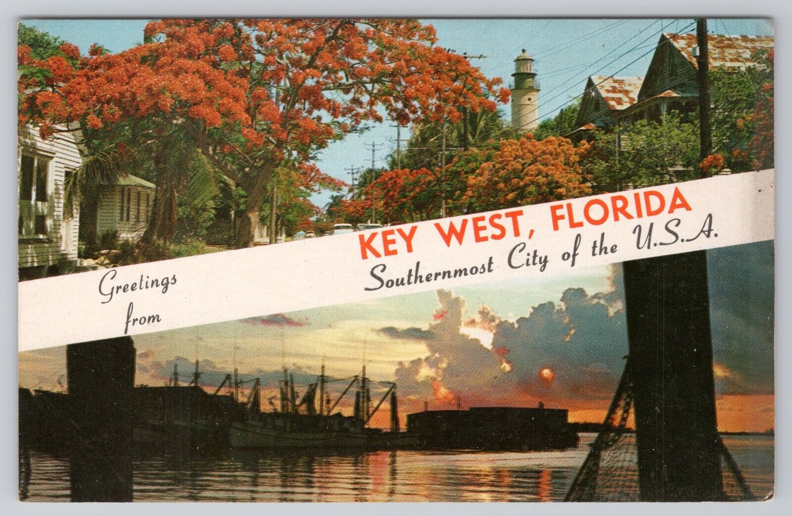 Key West Florida Greetings USA Postcard