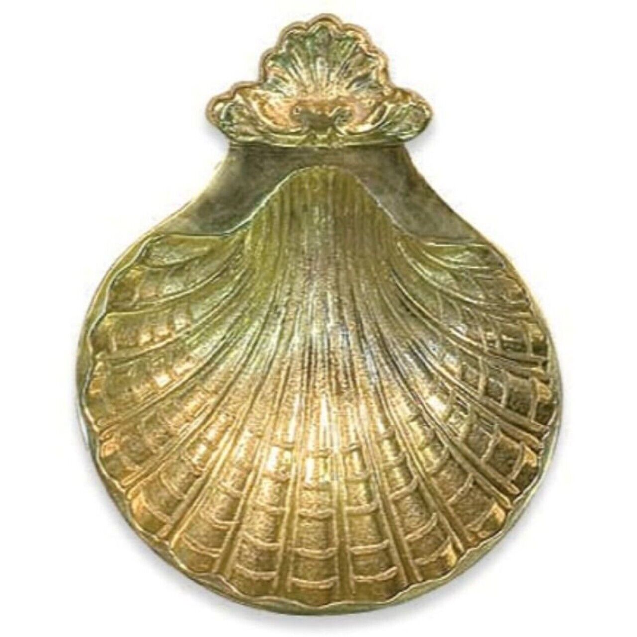 Ornate Brass Baptismal Shell Vessel for Ceremonies Gift For Churches 5 1/2 In