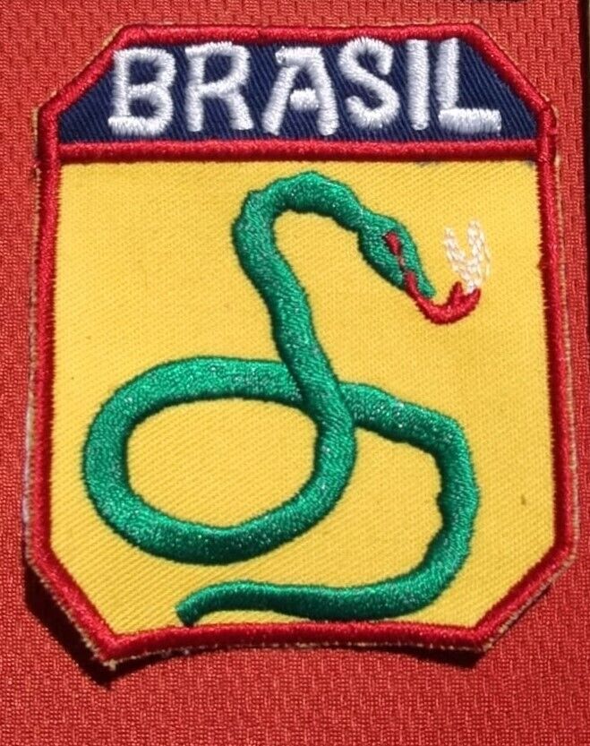 WW2 BRAZIL PATCH F.E.B. SNAKE SMOKING US 5TH ARMY FEB Expeditionary Force Italy