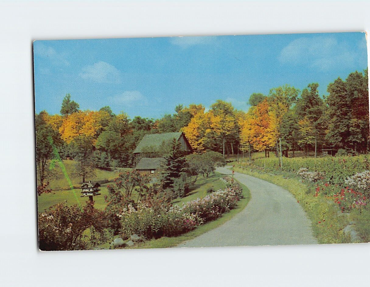 Postcard An Old Fashioned Garden