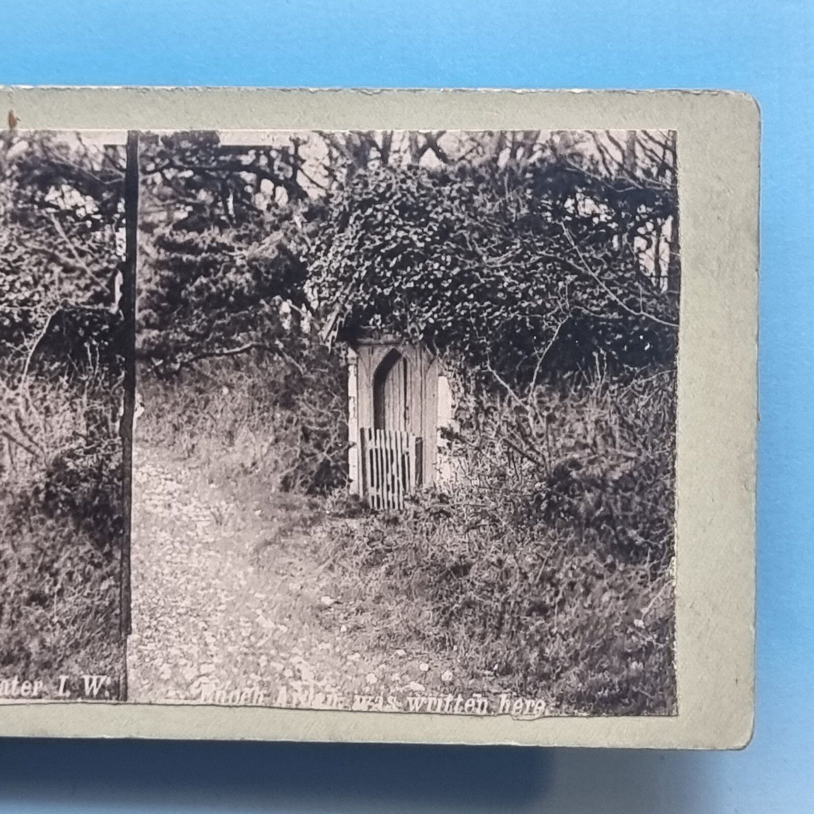 Stereoview Card 3D C1875 Freshwater Isle Of Wight Tennyson\'s Arbour