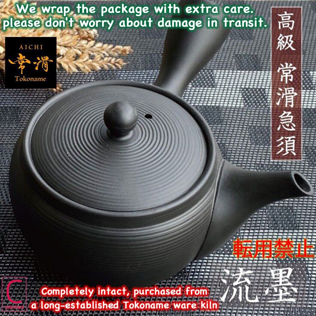 Japan Express Kyusu Teapot Tokoname Ware BK with Tea Strainer Green Tea