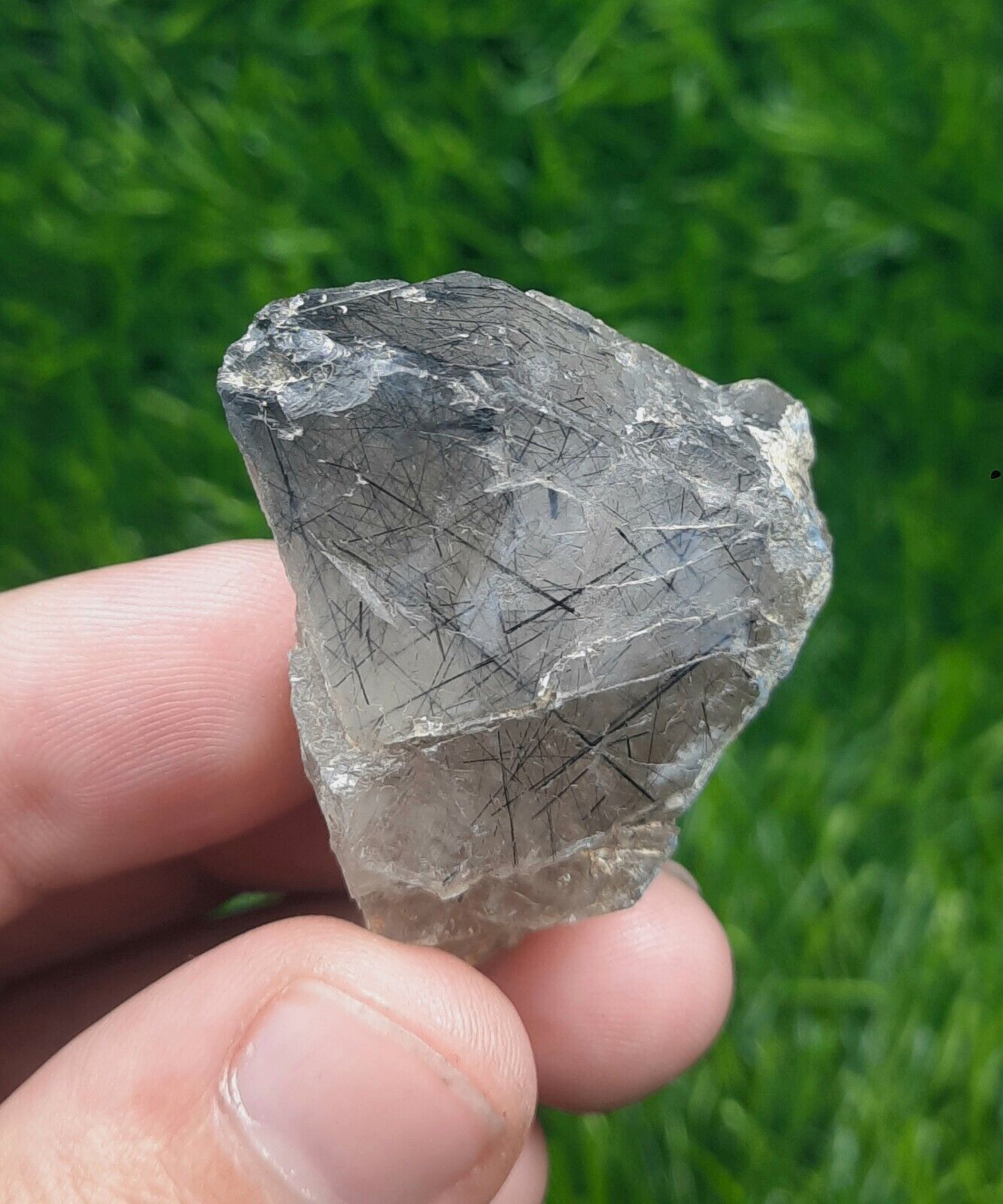 Riebeckite Included Smoky Quartz Crystal From Buner District Kpk Pakistan.