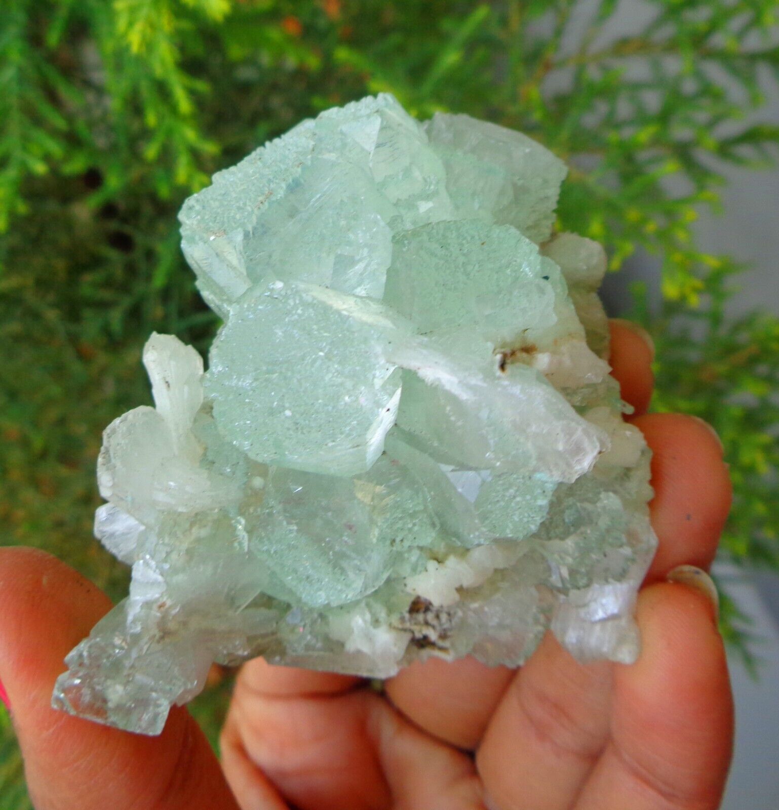 Green Apophyllite Crystals w/ Stilbite On Matrix Minerals Specimen #F56