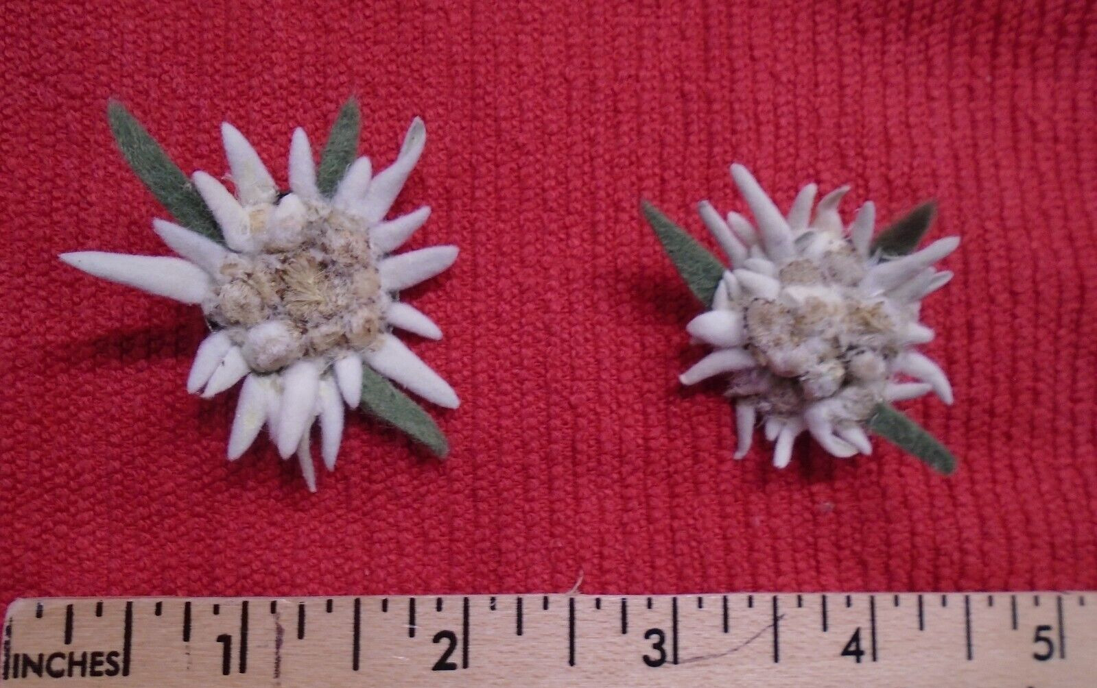 REAL Edelweiss Flower Lapel Pin Hat Pin Gebirgsjager Germany WW2NEW MOTHER'S DAY